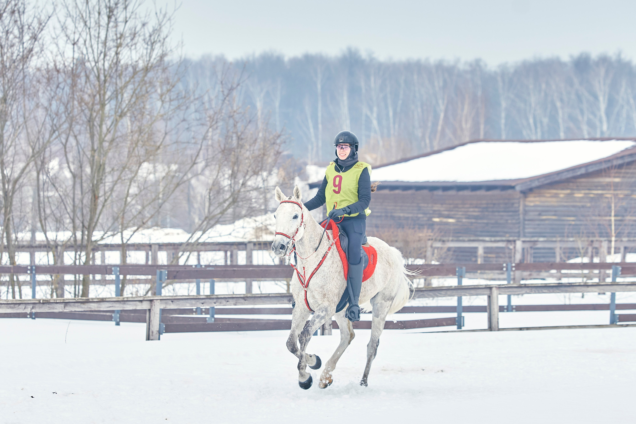HORSE RACING. Фотограф Наталья Леонова