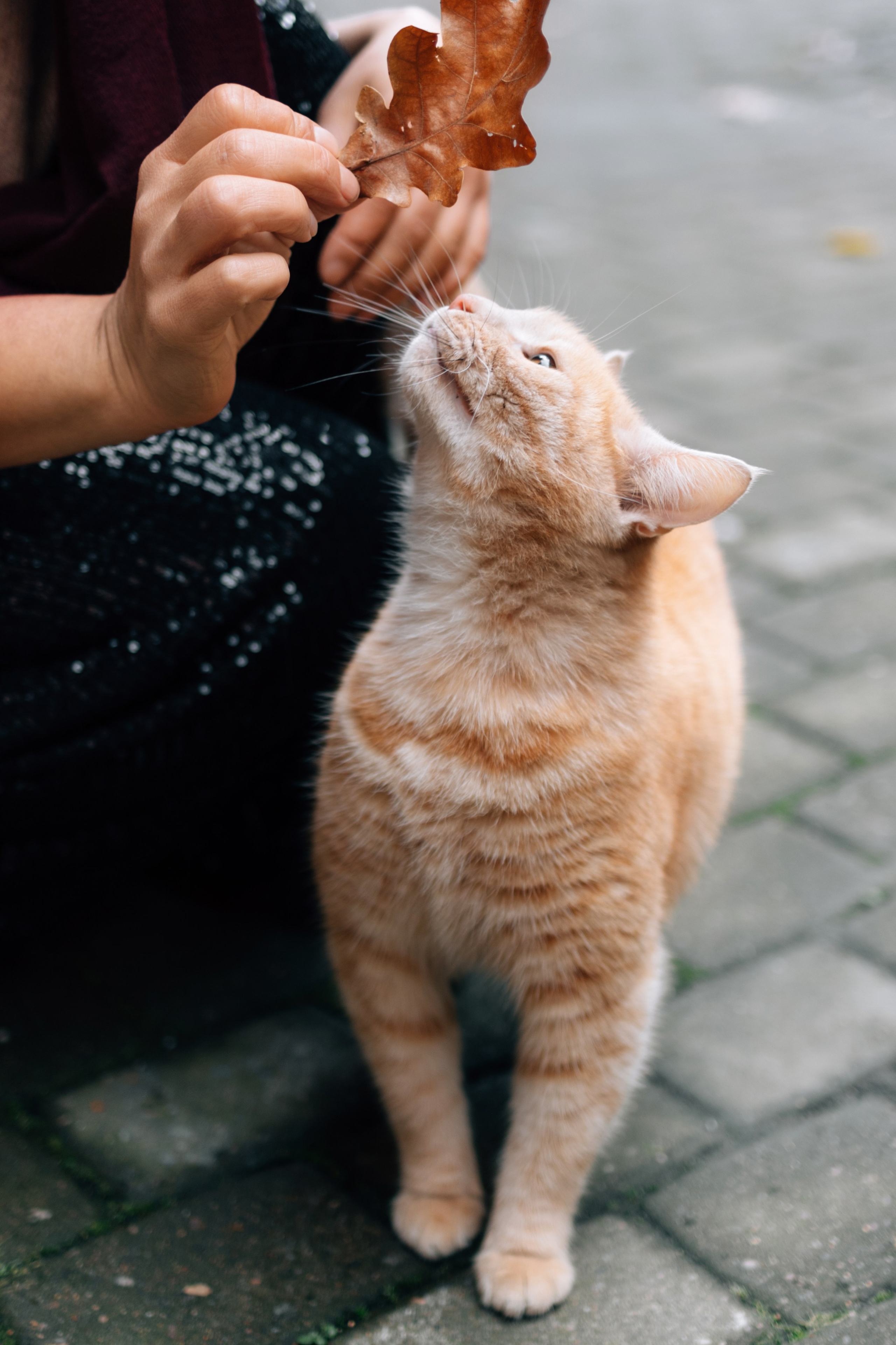 Прогулка по городу. Главная