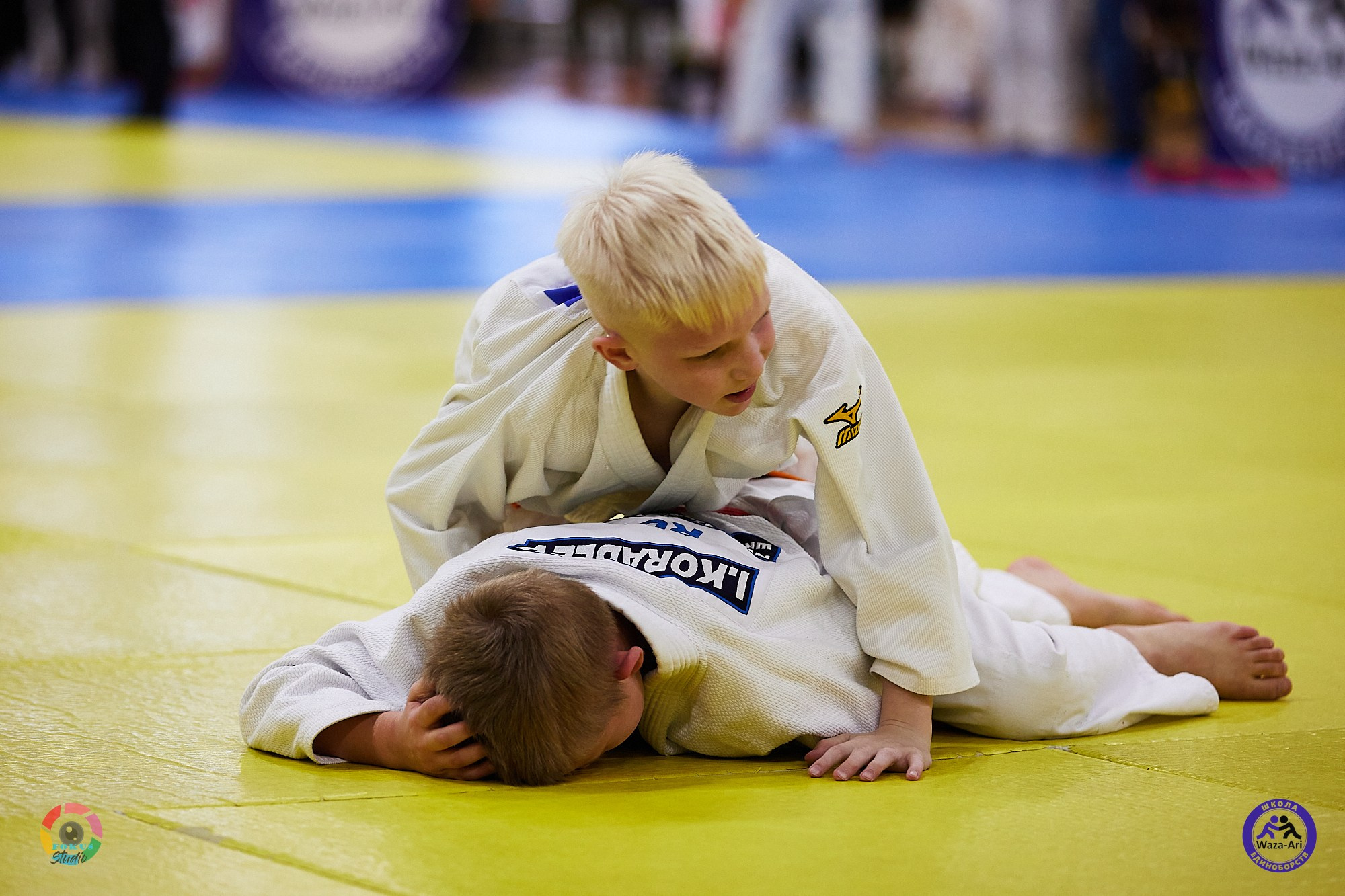 Репортаж Турнир по дзюдо. Спортивный фотограф Некрасов Денис