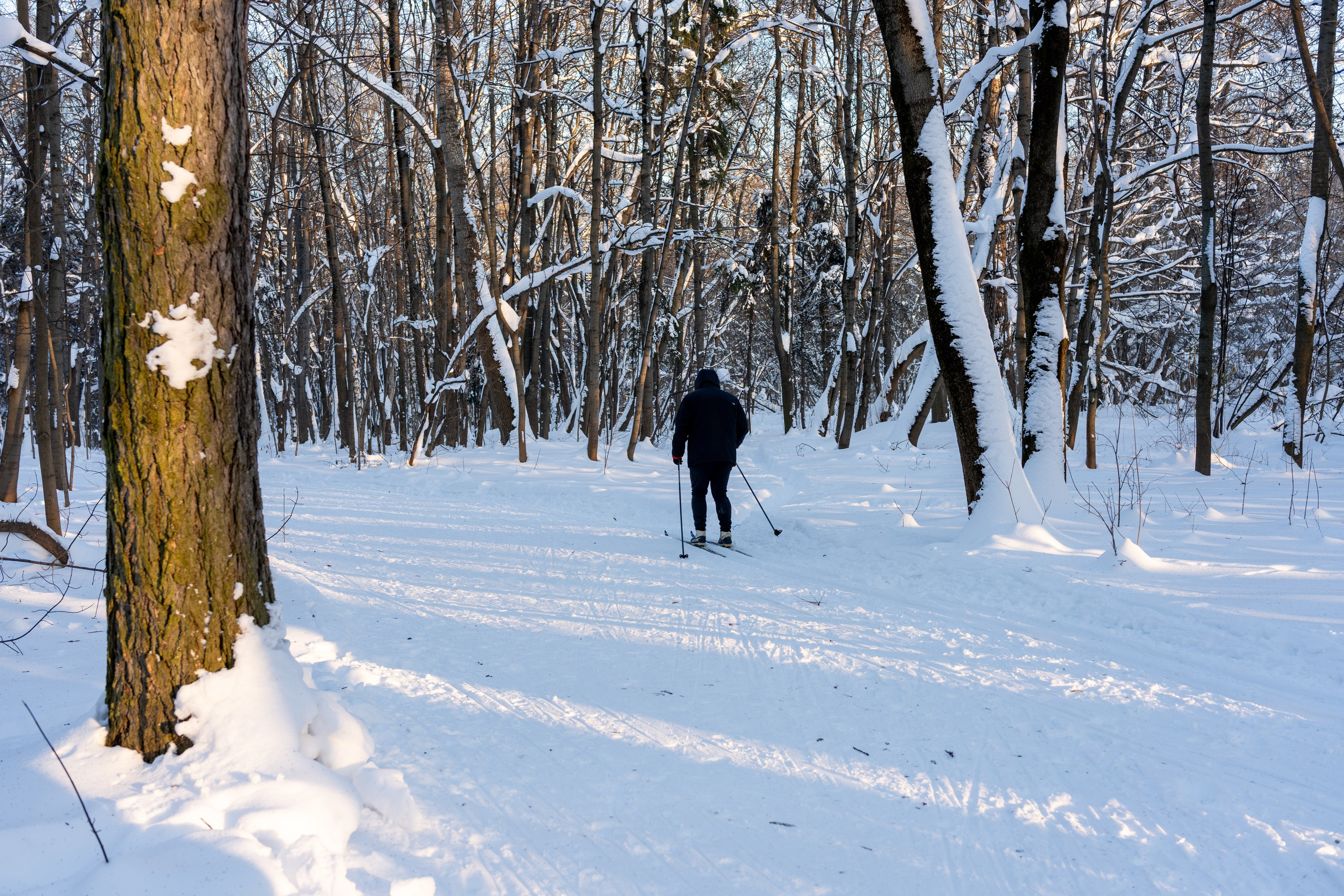 20260118 МГУ. Дмитрий Ремизов. Фотография, как хобби