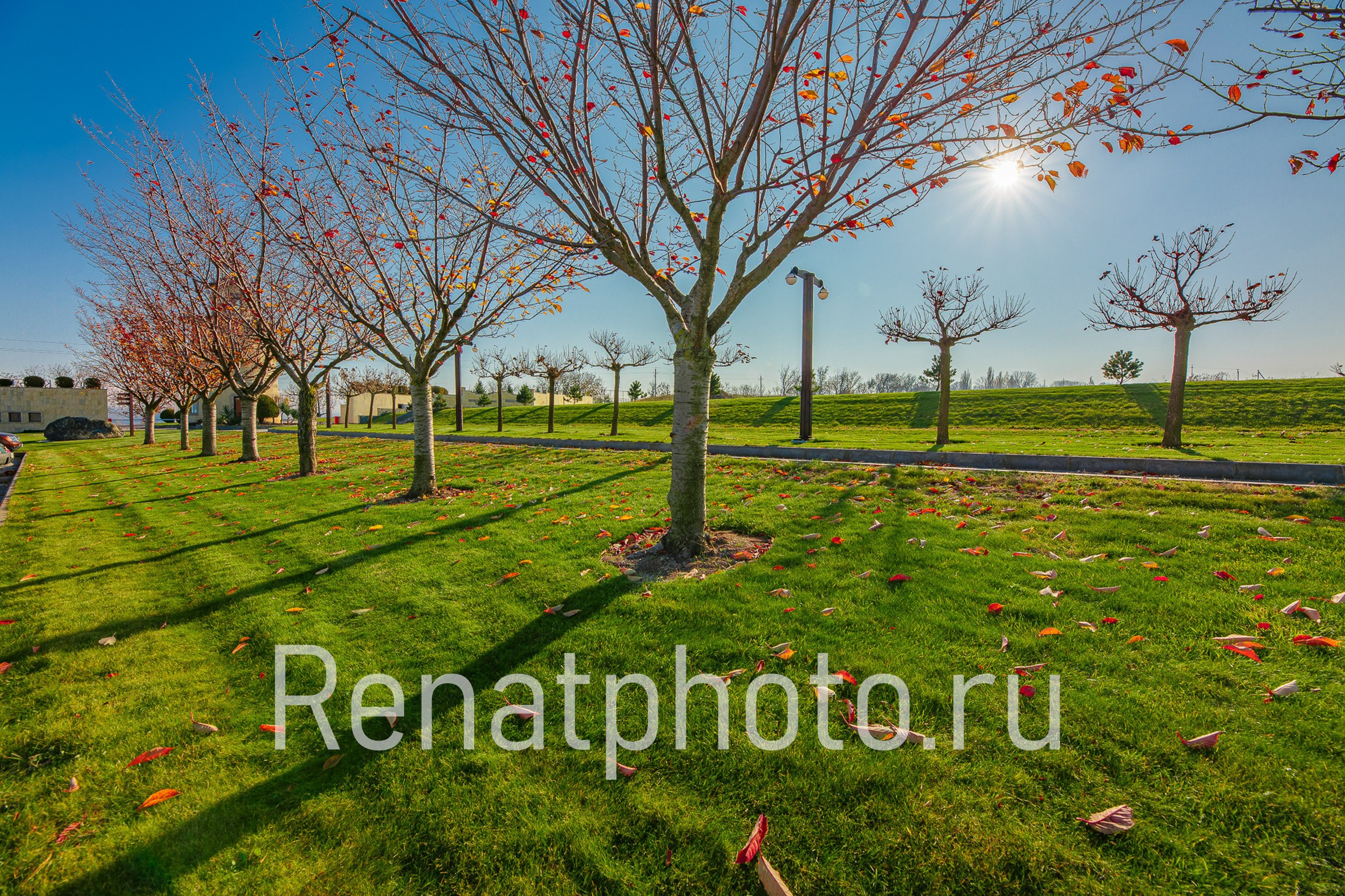 Renatphoto-Коммерческая фотосъёмка  для строительной компании. Профессиональный фотограф  интерьеров, предметная фотосъёмка, фото блюд для меню  г. Анапа