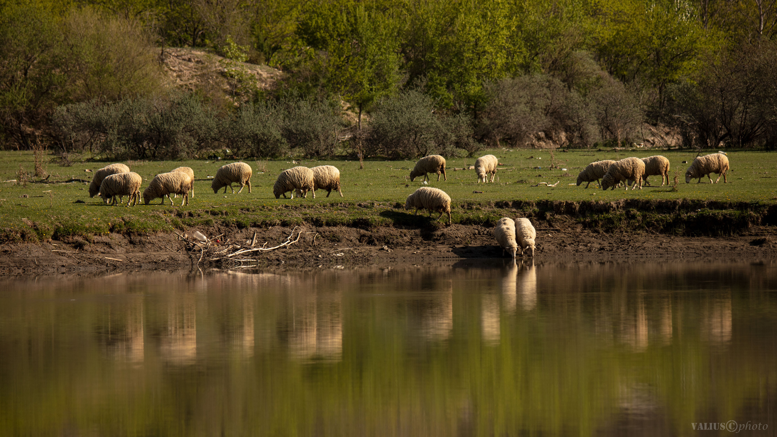 Дагестан. Гергебильское водохранилище. 