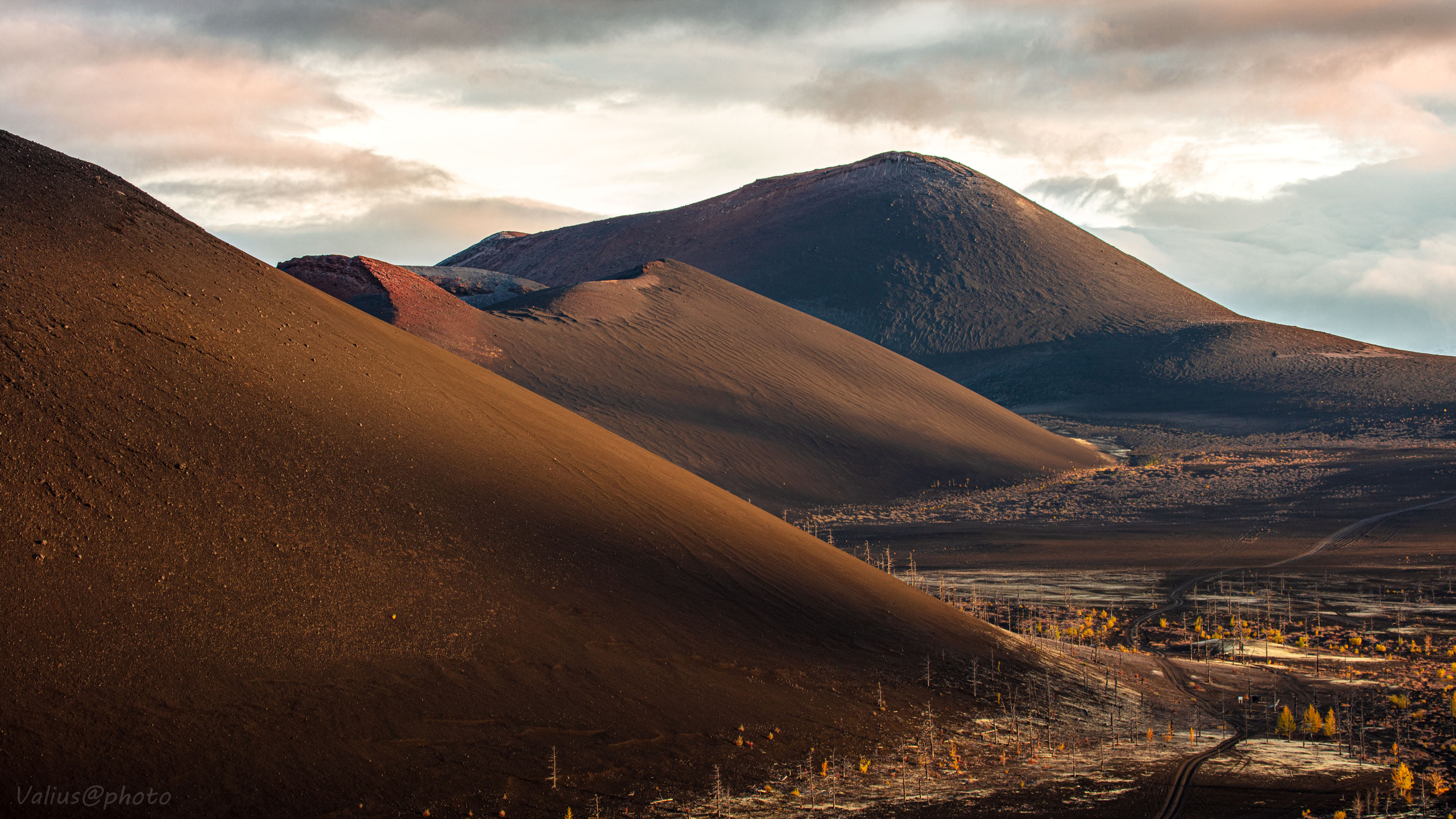 Камчатка. Толбачик. Мёртвый лес. Марсово поле. Лавовое поле.