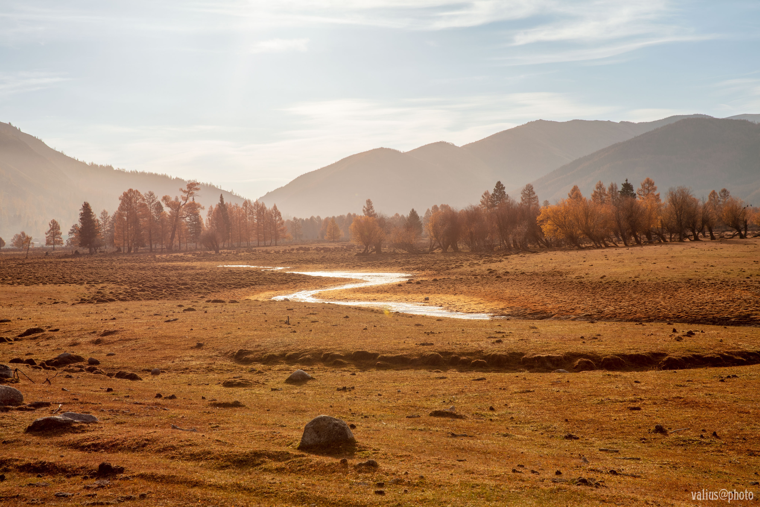 Алтай. Горы. Рассвет в горах. Извилистая река Джазатор. Беляши.