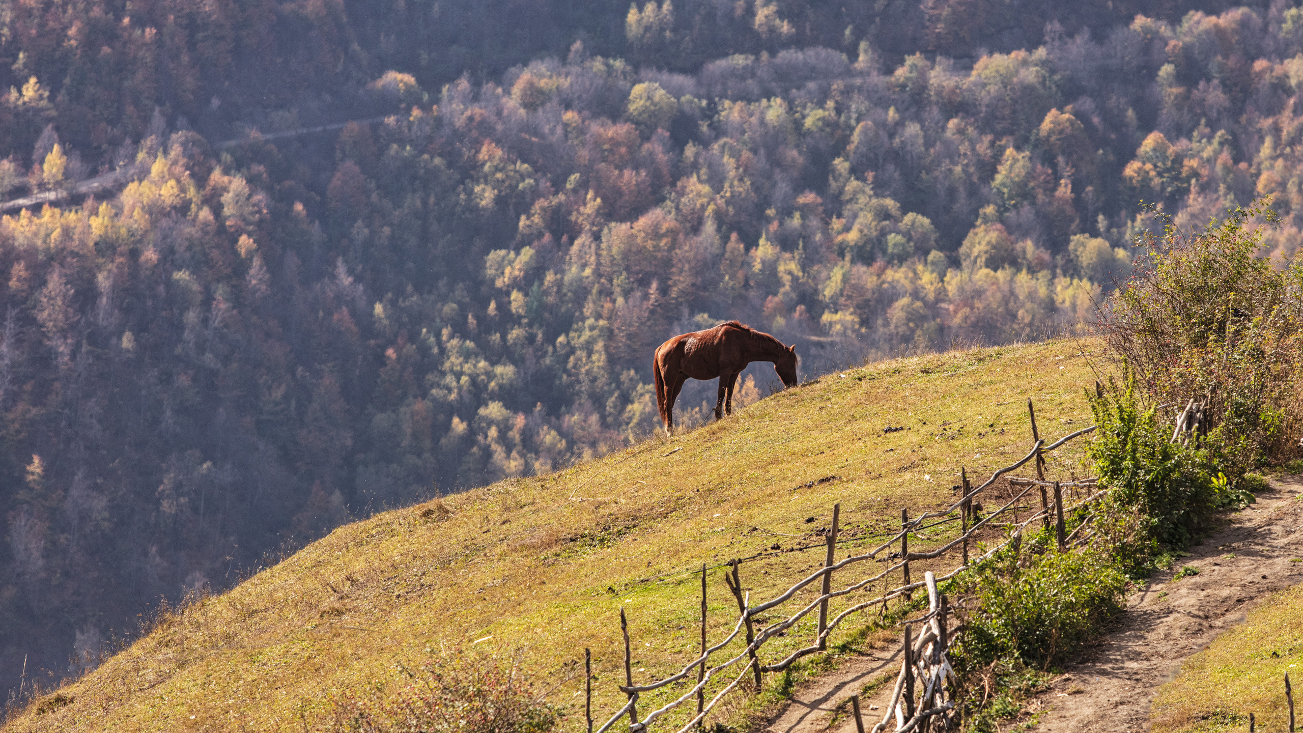 Дагестан. Тлярата.