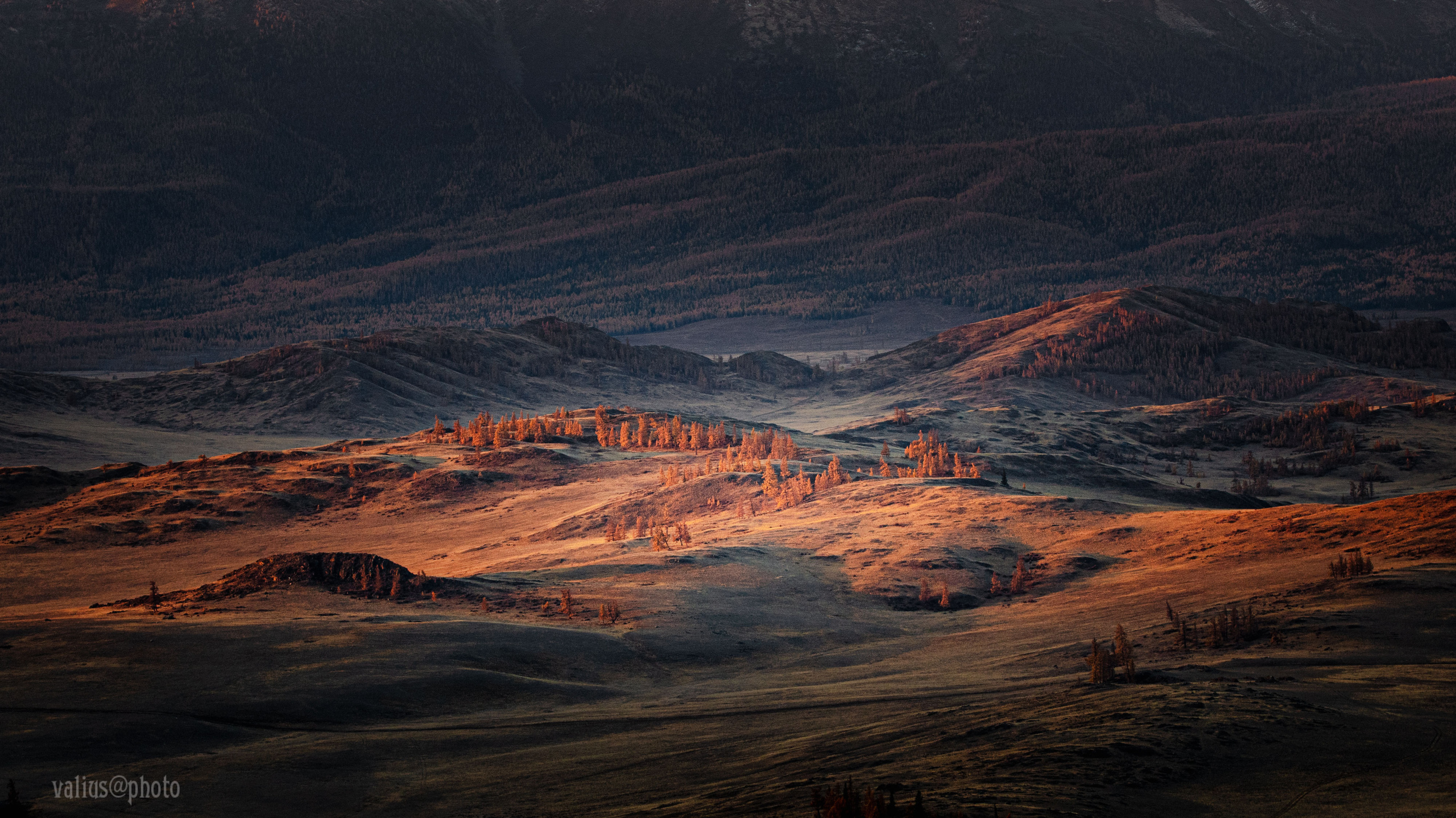Алтай. Горы. Рассвет в горах. Извилистая река Чуя. 