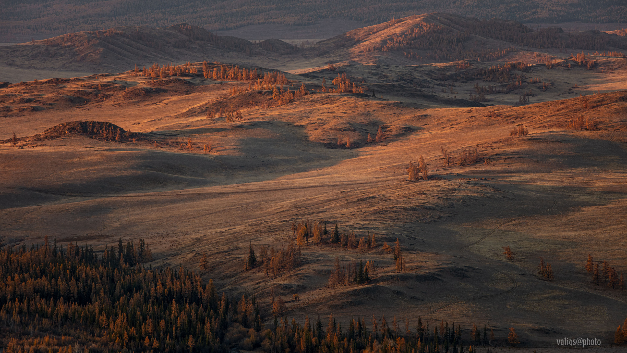 Алтай. Горы. Рассвет в горах. Извилистая река Чуя. 