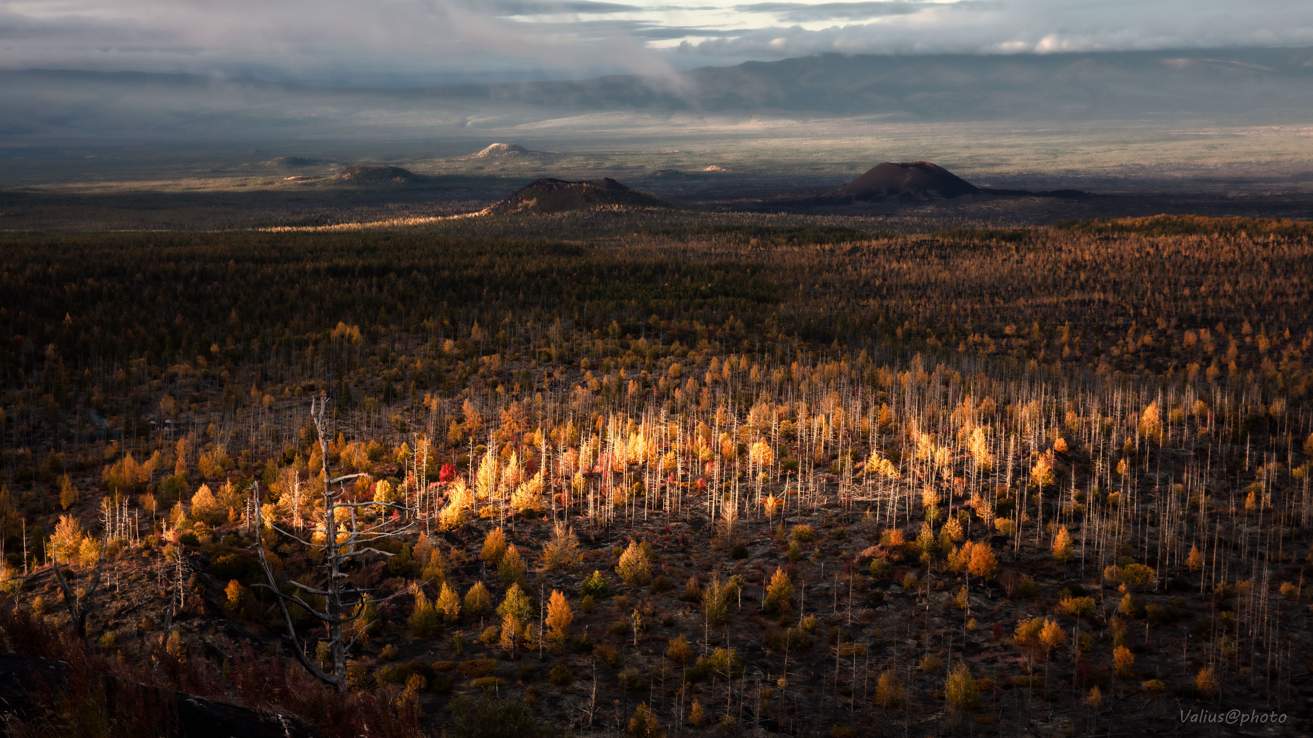 Камчатка. Толбачик. Мёртвый лес. Марсово поле. Лавовое поле. Закат.