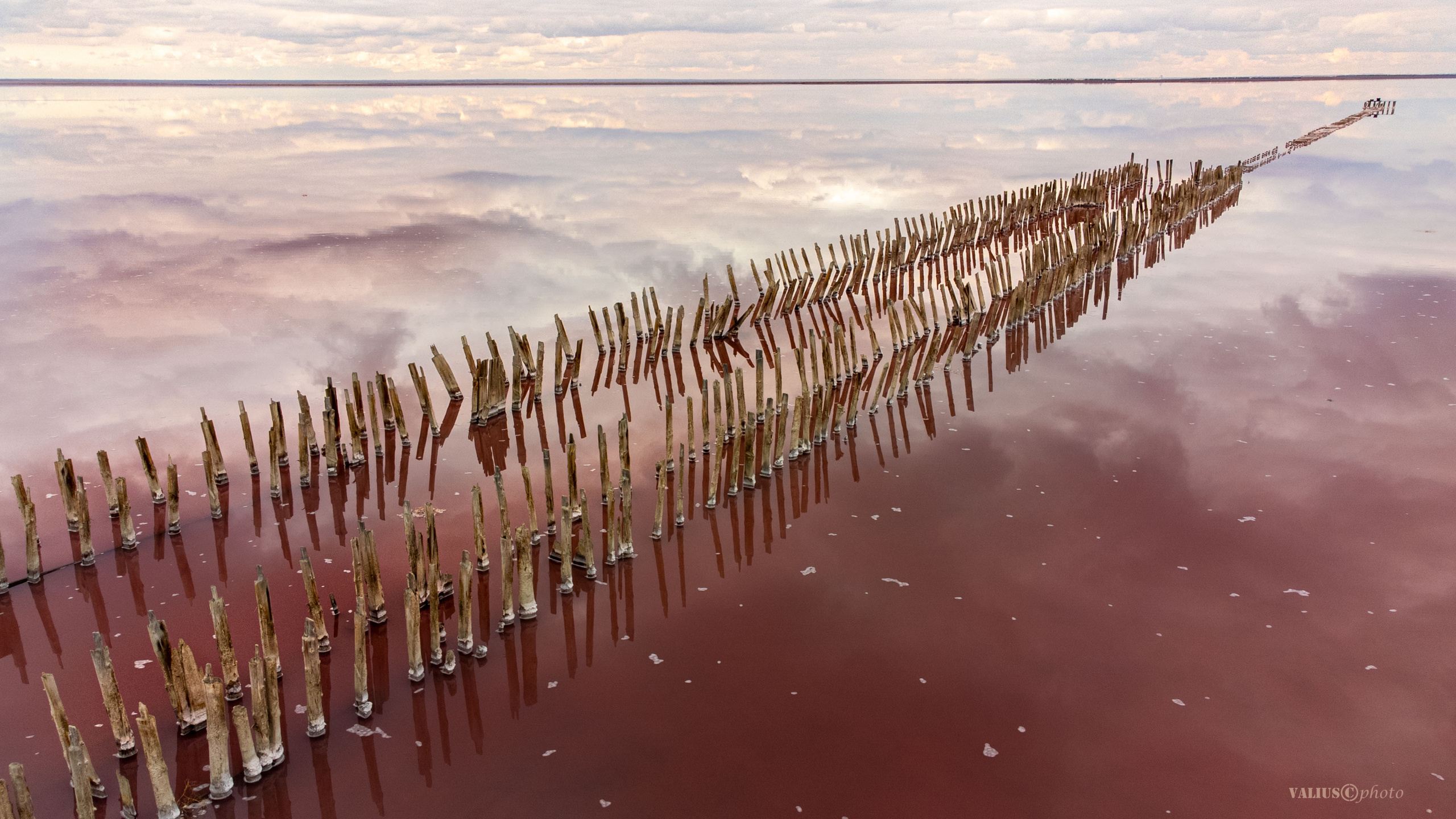 Крым. Сасык-Сиваш