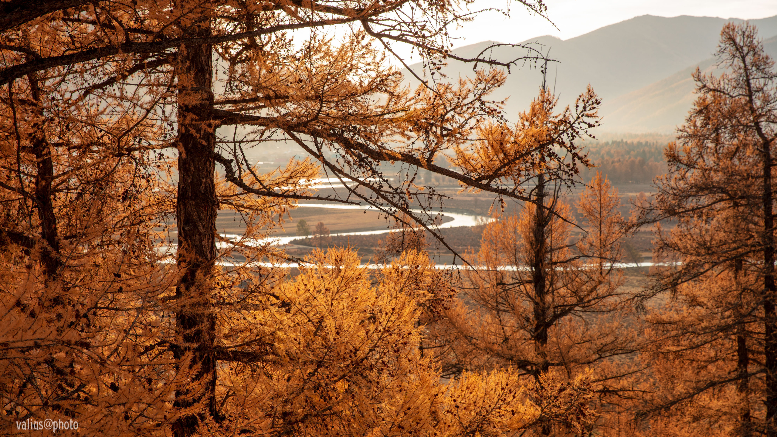 Алтай, горная река. Рассвет. Место слияния рек Аргут и Казубай.