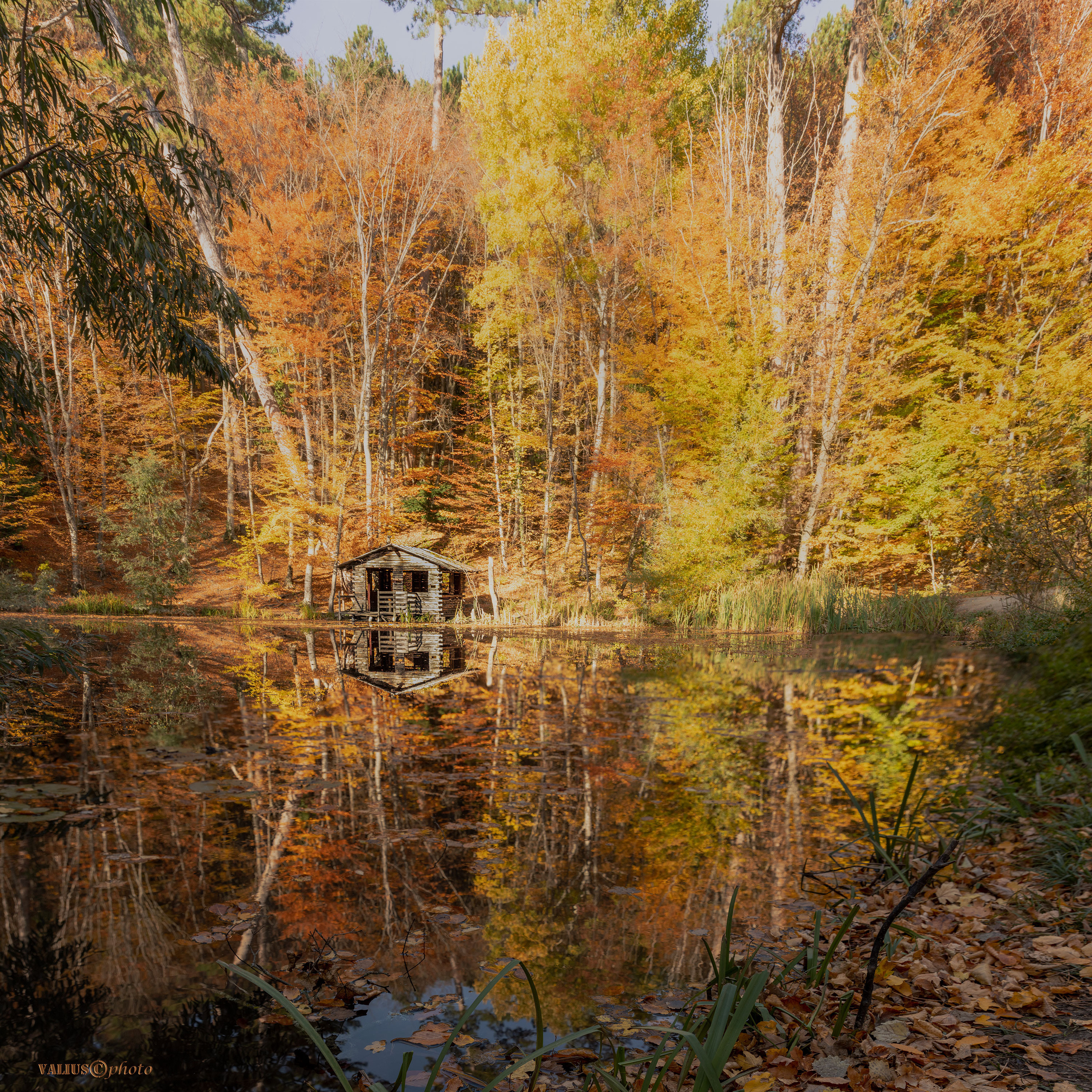 Крым. Ай-Петри, Черепашье озеро.