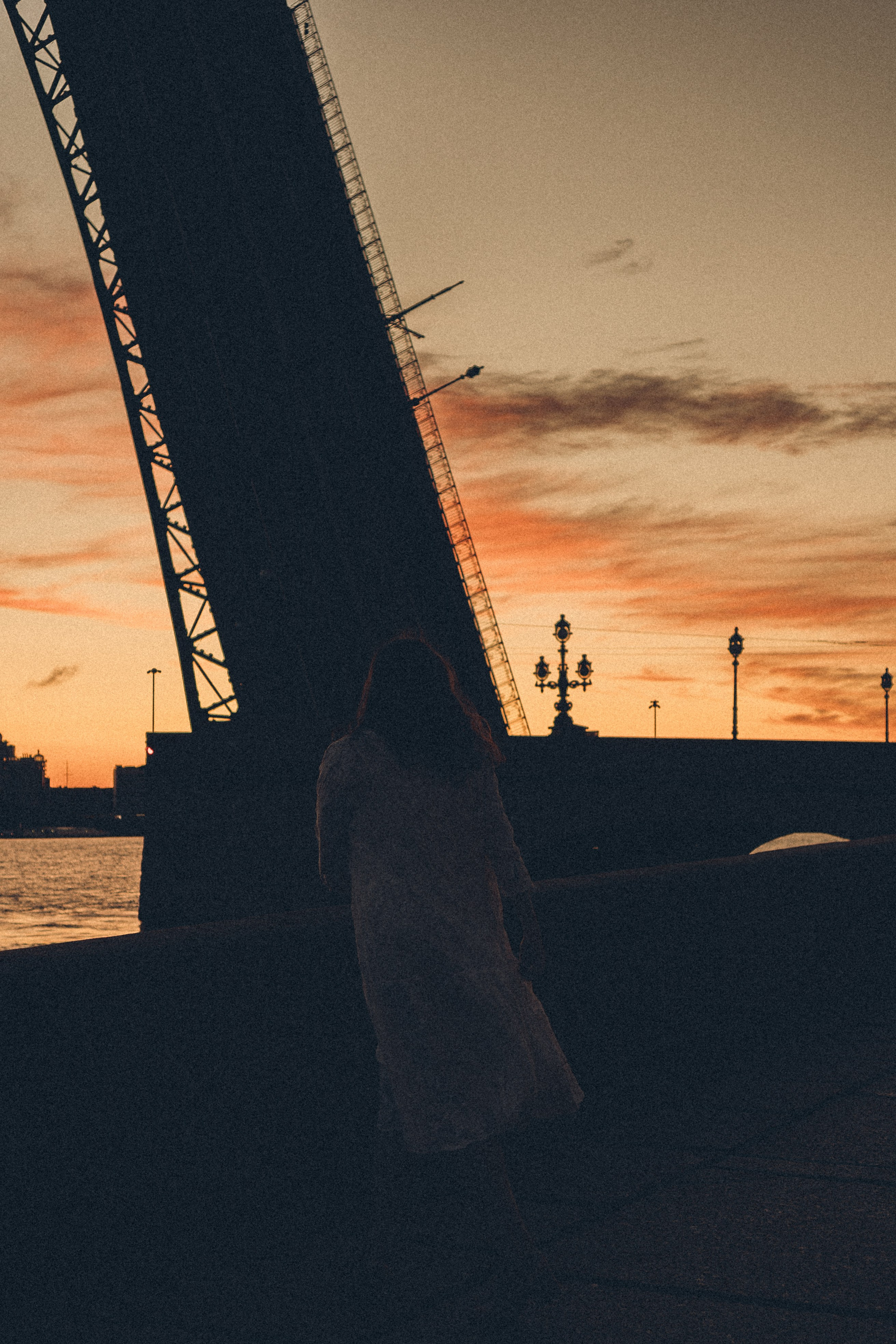 РАССВЕТ С РАЗВОДНЫМИ МОСТАМИ. Профессиональный фотограф, Санкт-Петербург — Виктория Богомолова