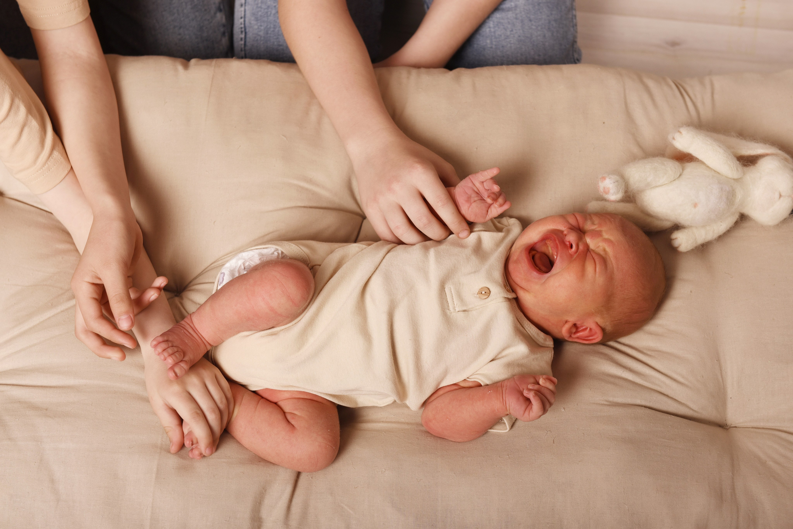 Вовчик. Семейный, детский и школьный фотограф в Димитровграде Наумова Екатерина