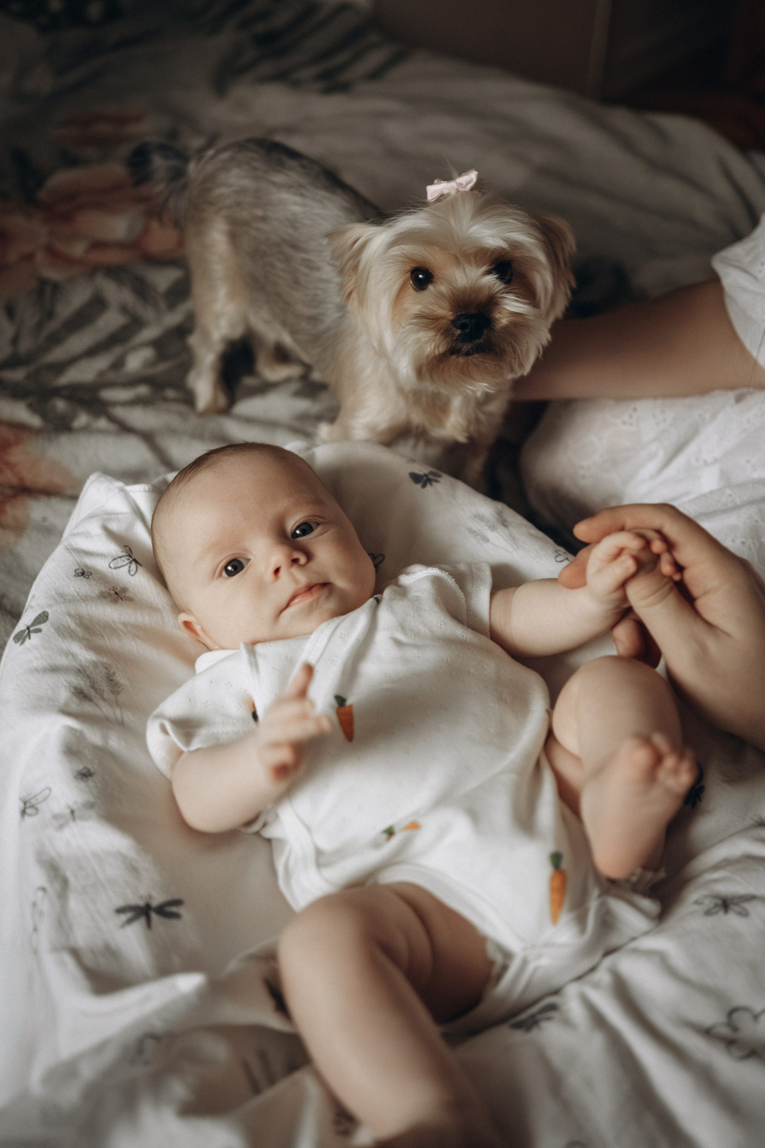 Малыш Вова и семья. Семейный и детский фотограф в Санкт-Петербурге