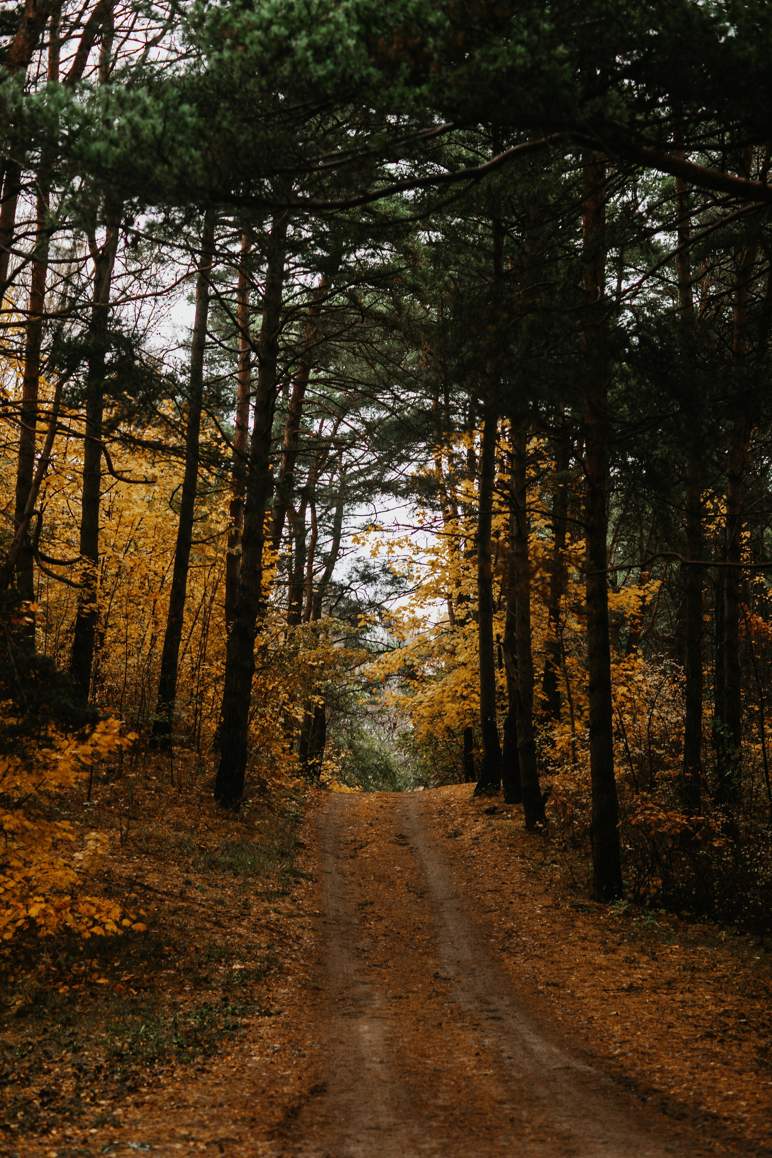 Балтийск/Калининград. Свадебный и семейный фотограф/видеограф в Краснодаре Наталья Осинская