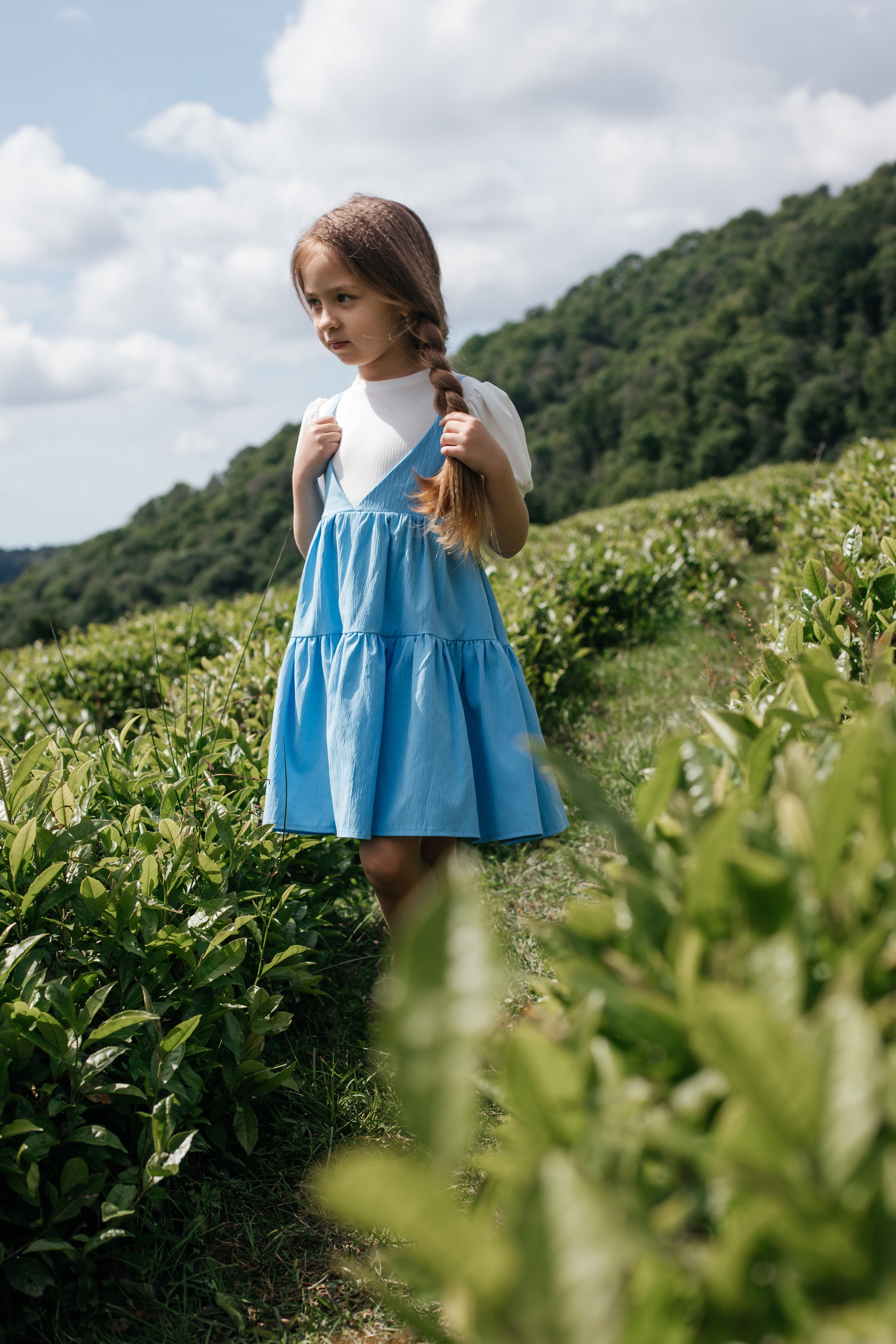 Tea plantation. Efimova Model Agency
