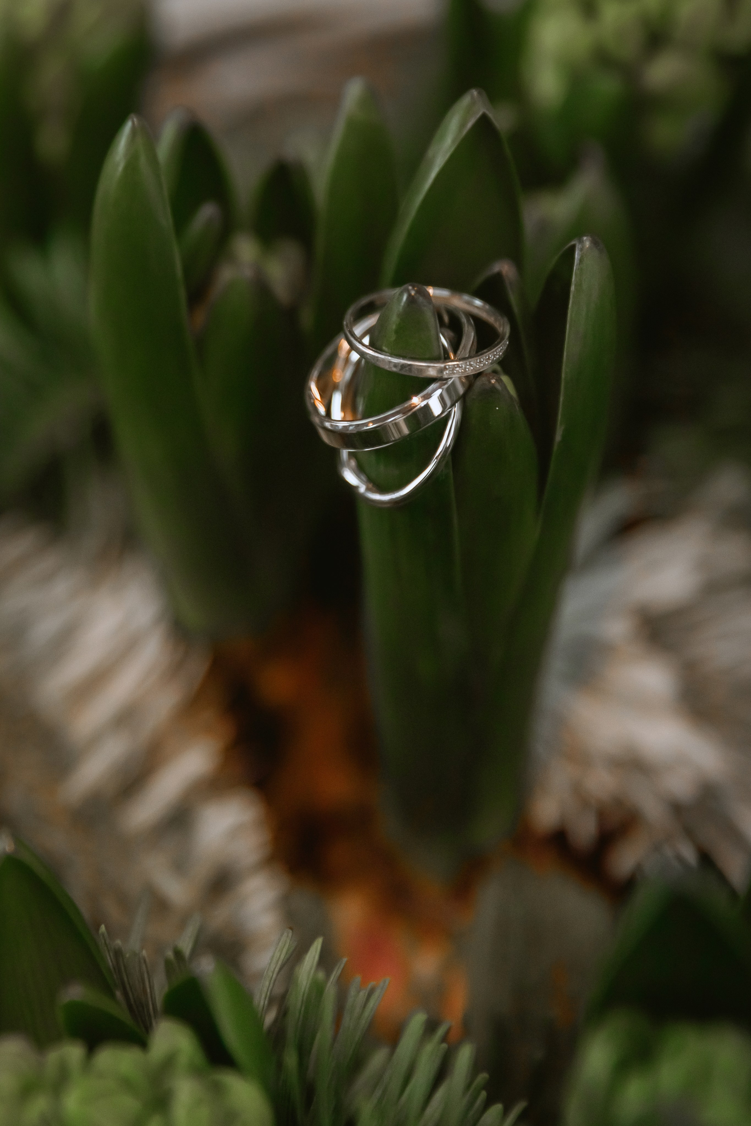 Филипп и Василиса. Свадебный фотограф, крещение, венчание СПБ, Белгород Анна Коршунова