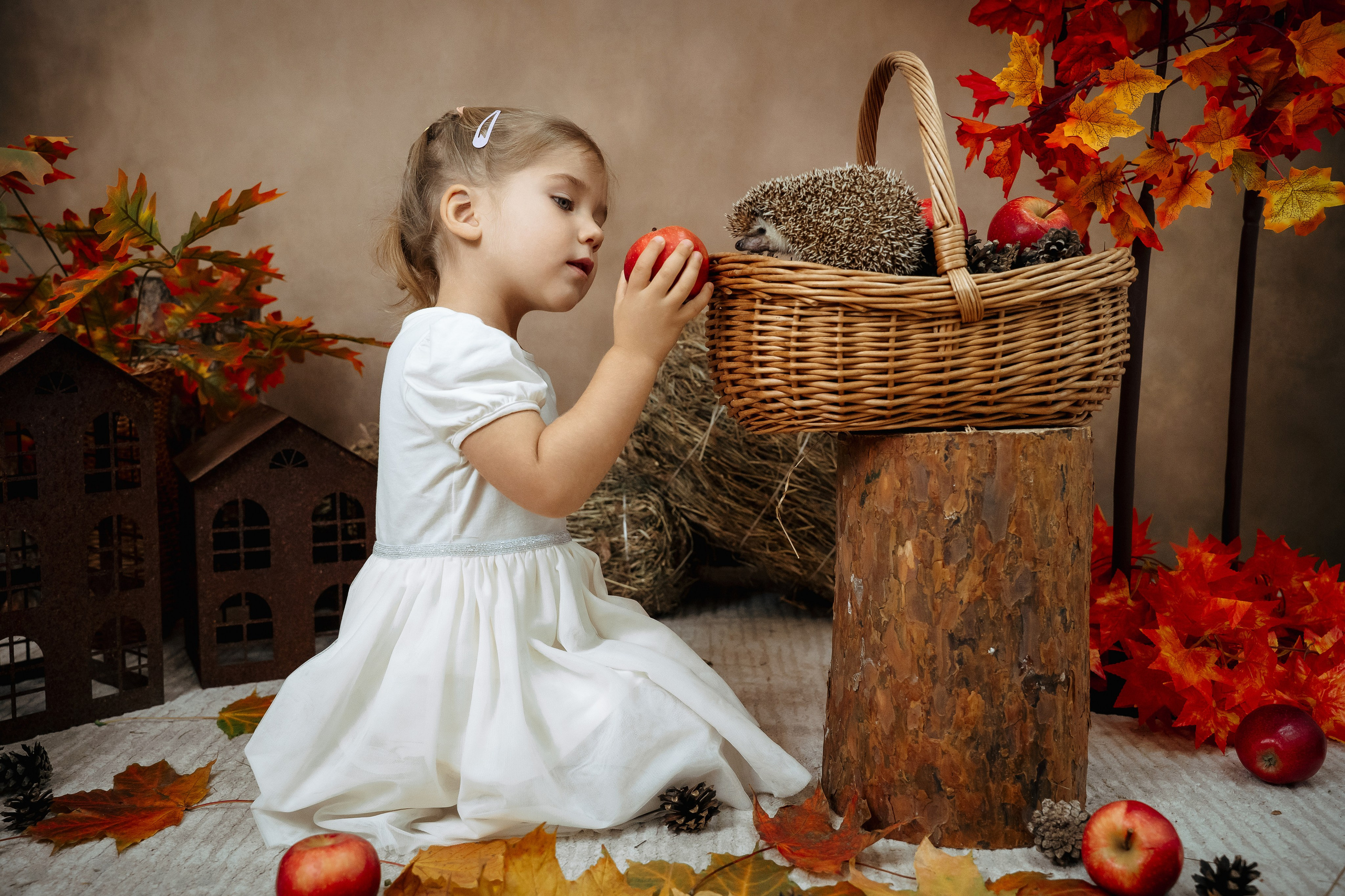 Ёжик. Фотограф Казакова Анастасия