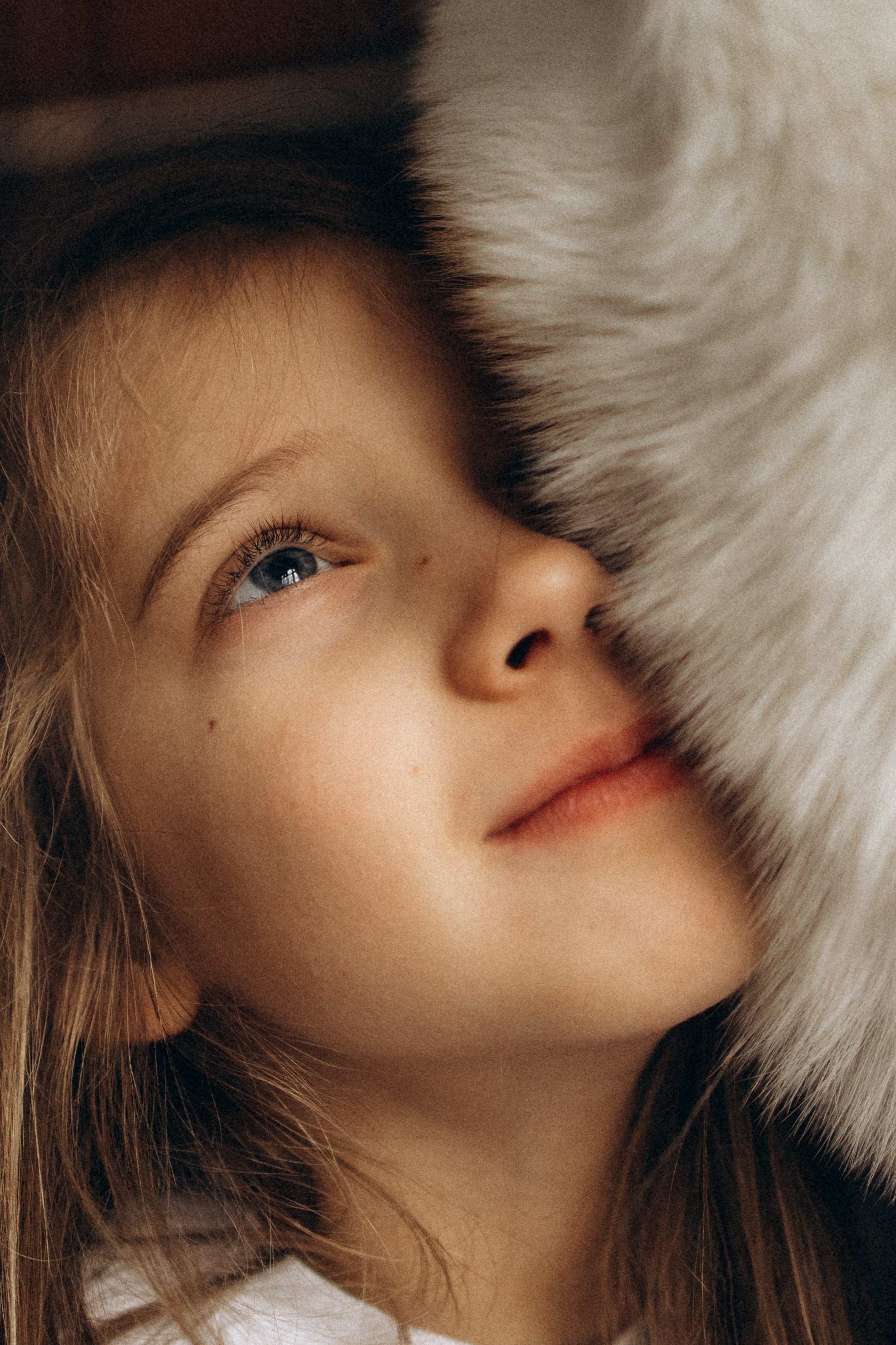 Зевс и его семья. Фотораф — анималист Мария Шистка