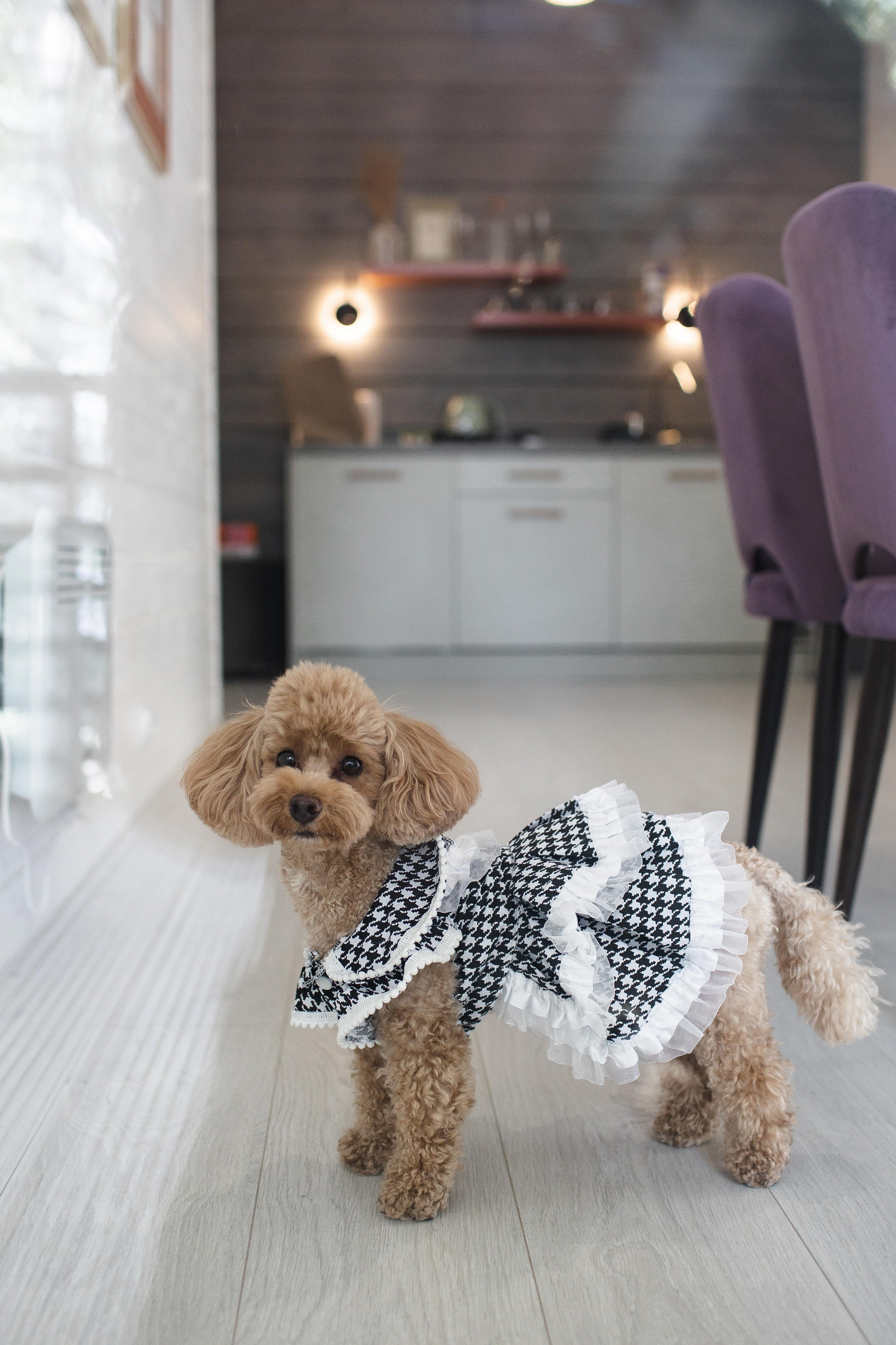 K & О. Свадебный фотограф Юлия Шторм