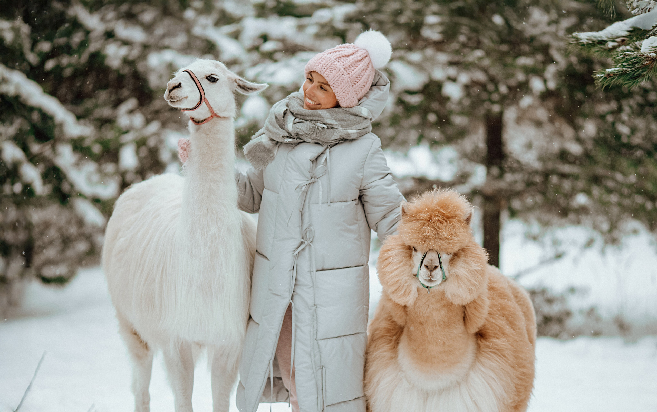 Семейные съемки. Алина Малышева, свадебный и семейный фотограф Москва