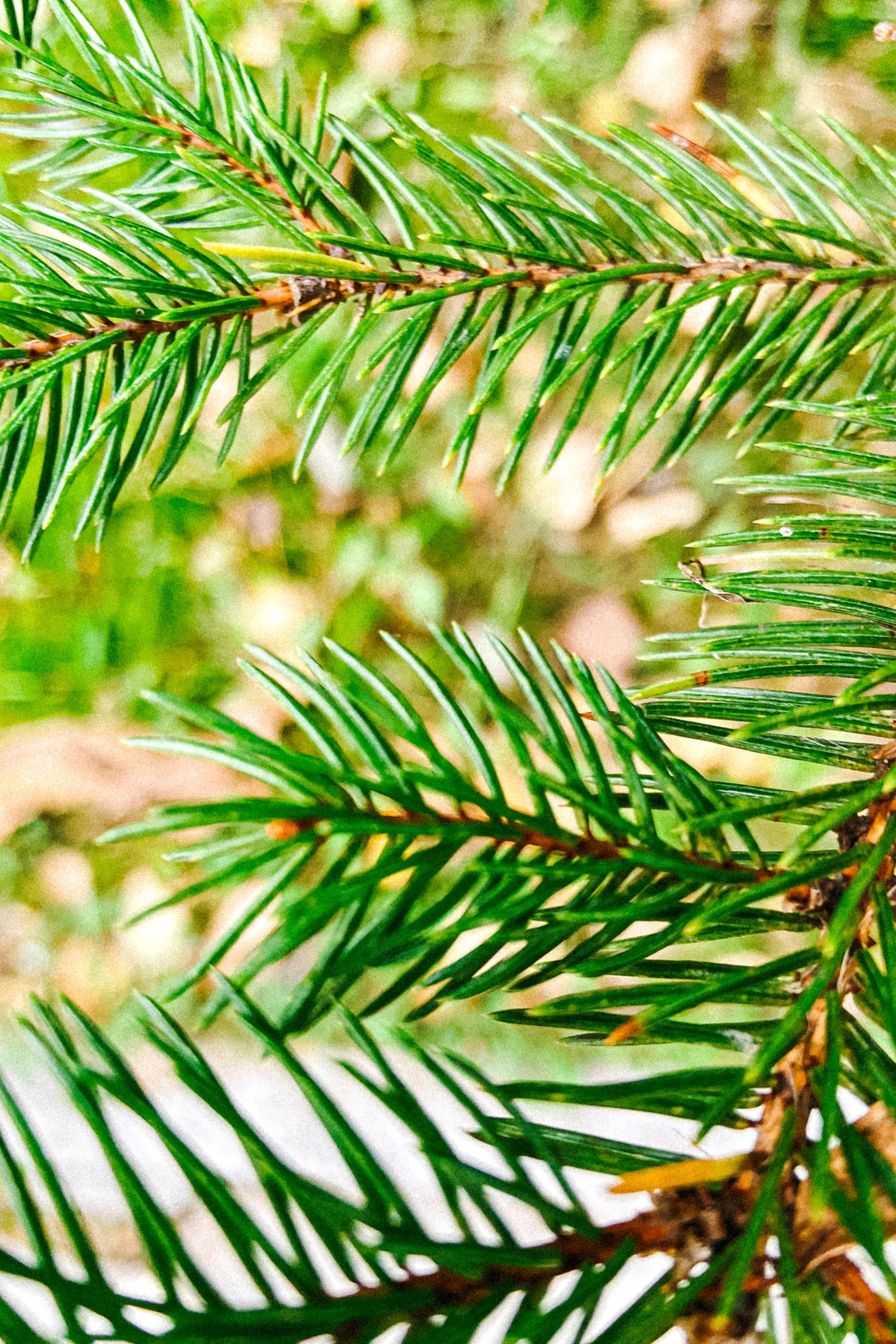 Природа. Команда фотографов Кристины Ивановой