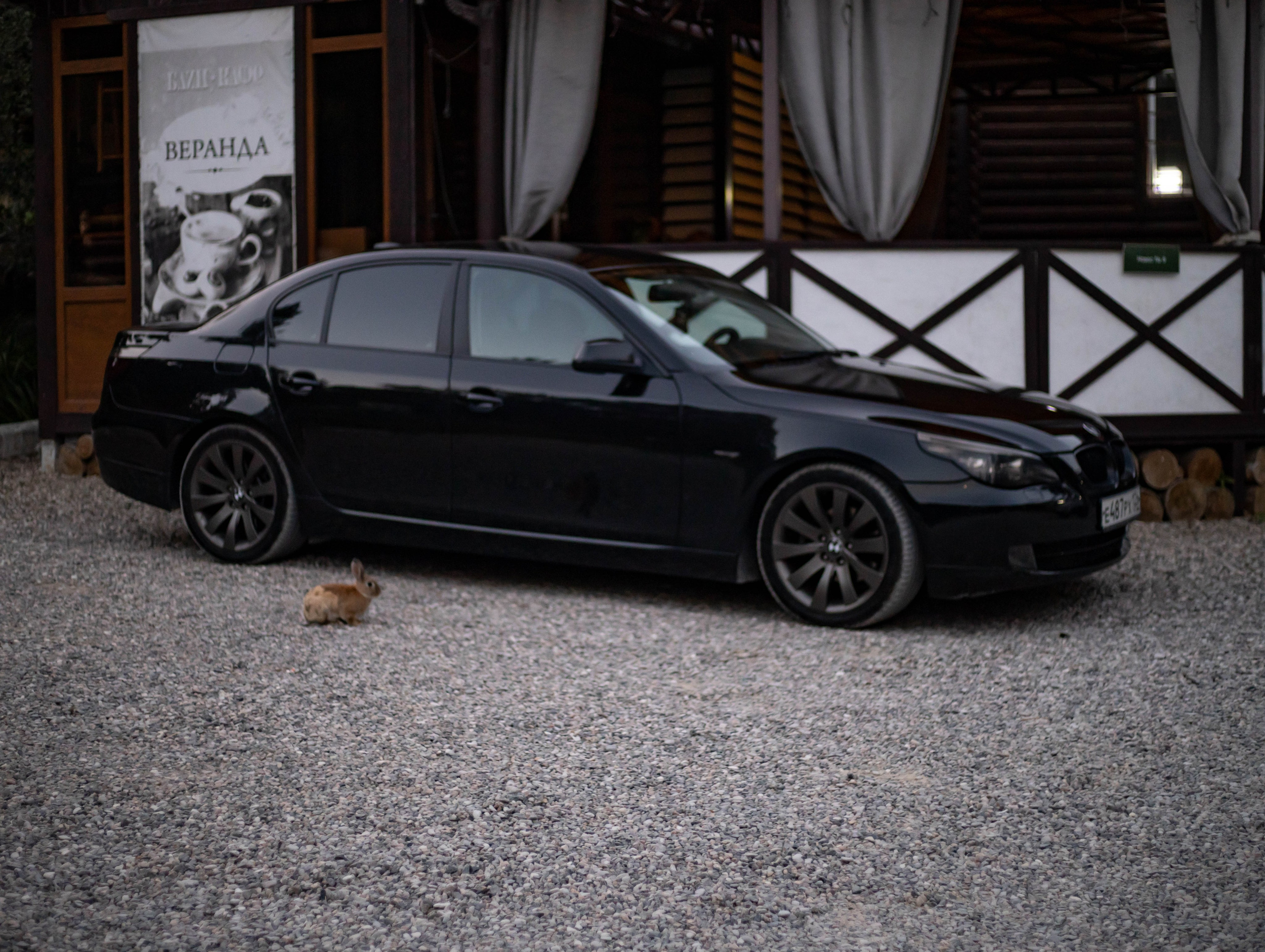 Семья Сулимы (Каньон). Фотограф Елена Варзиева