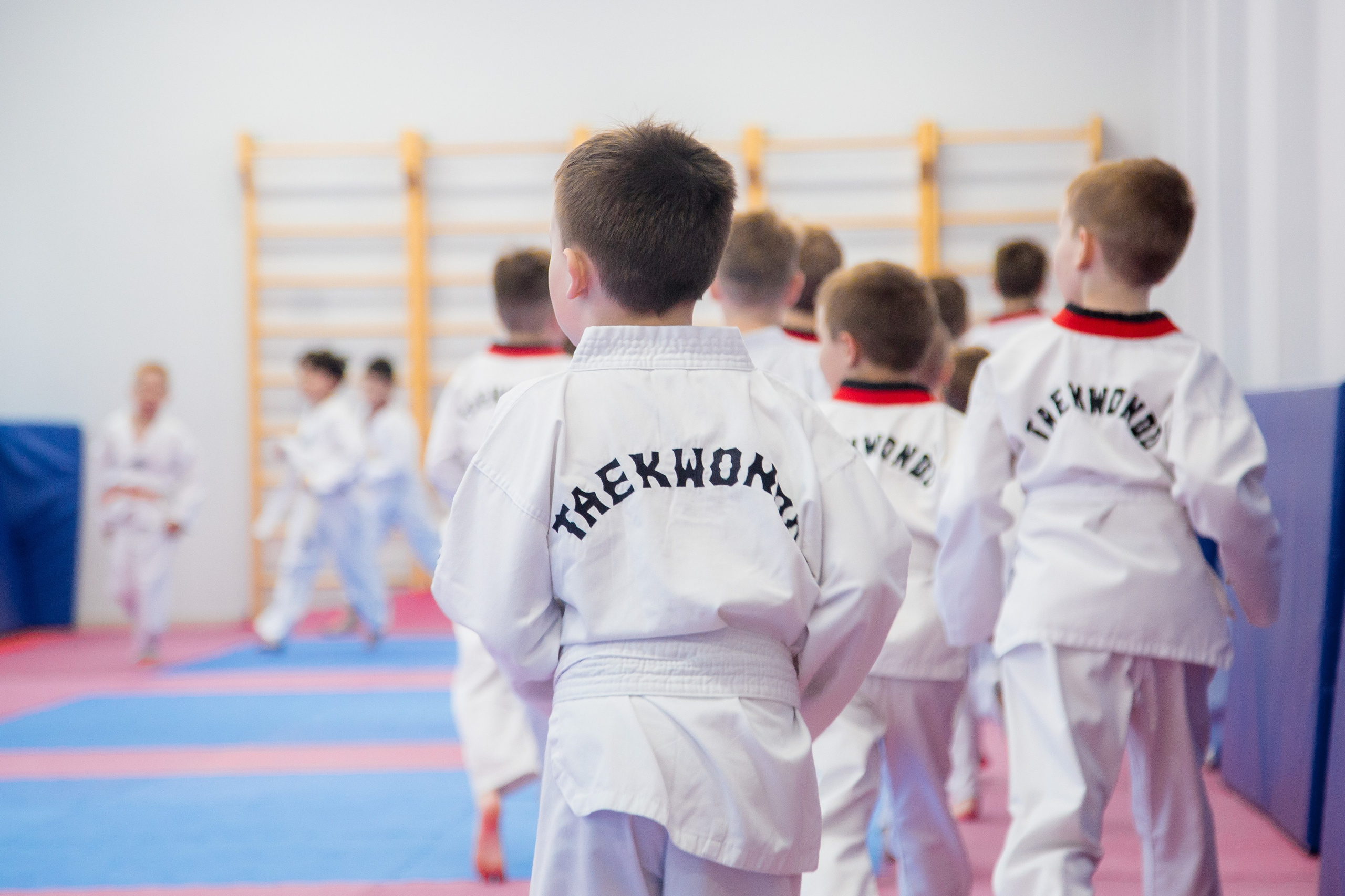 Желтый пояс по тхеквандо. Репортажный фотограф Борис Геер