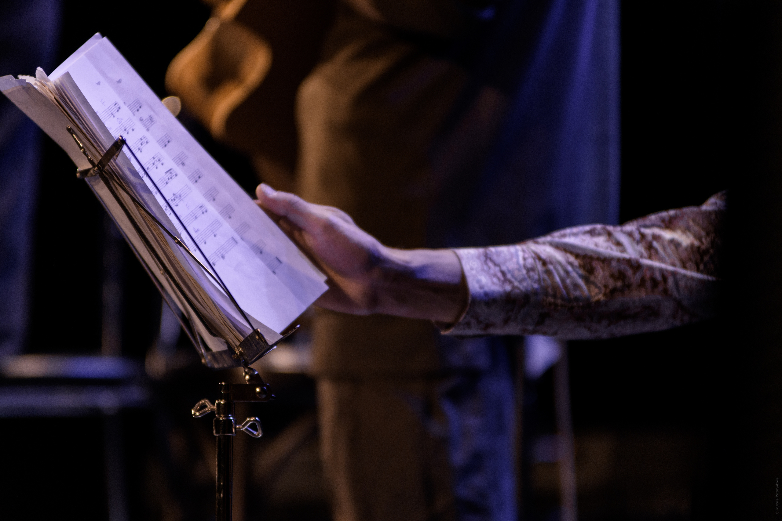 Репортаж с концерта. Семейный и индивидуальный фотограф Life style в Санкт-Петербурге Мария