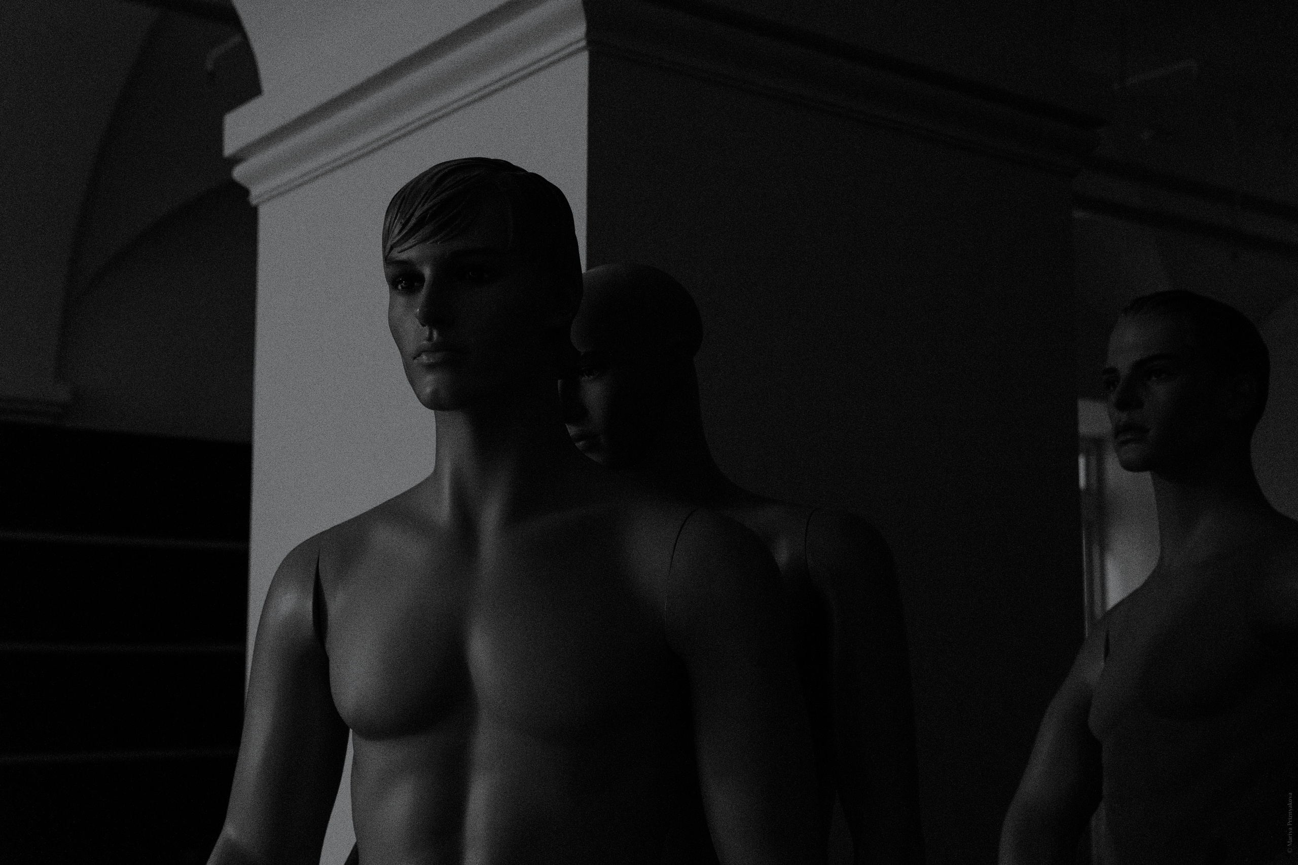 Волонтерство. Семейный и индивидуальный фотограф Life style в Санкт-Петербурге Мария