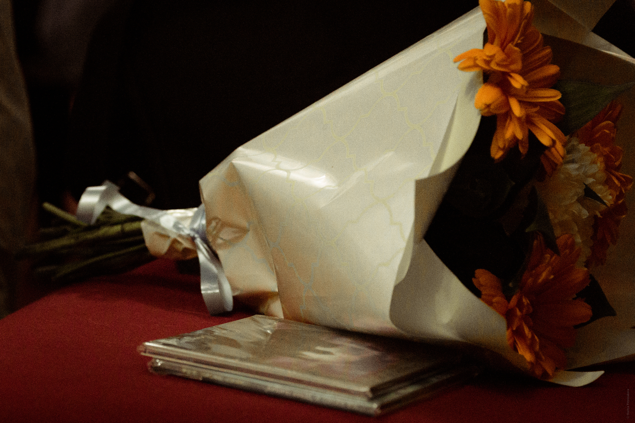 Репортаж с концерта. Семейный и индивидуальный фотограф Life style в Санкт-Петербурге Мария