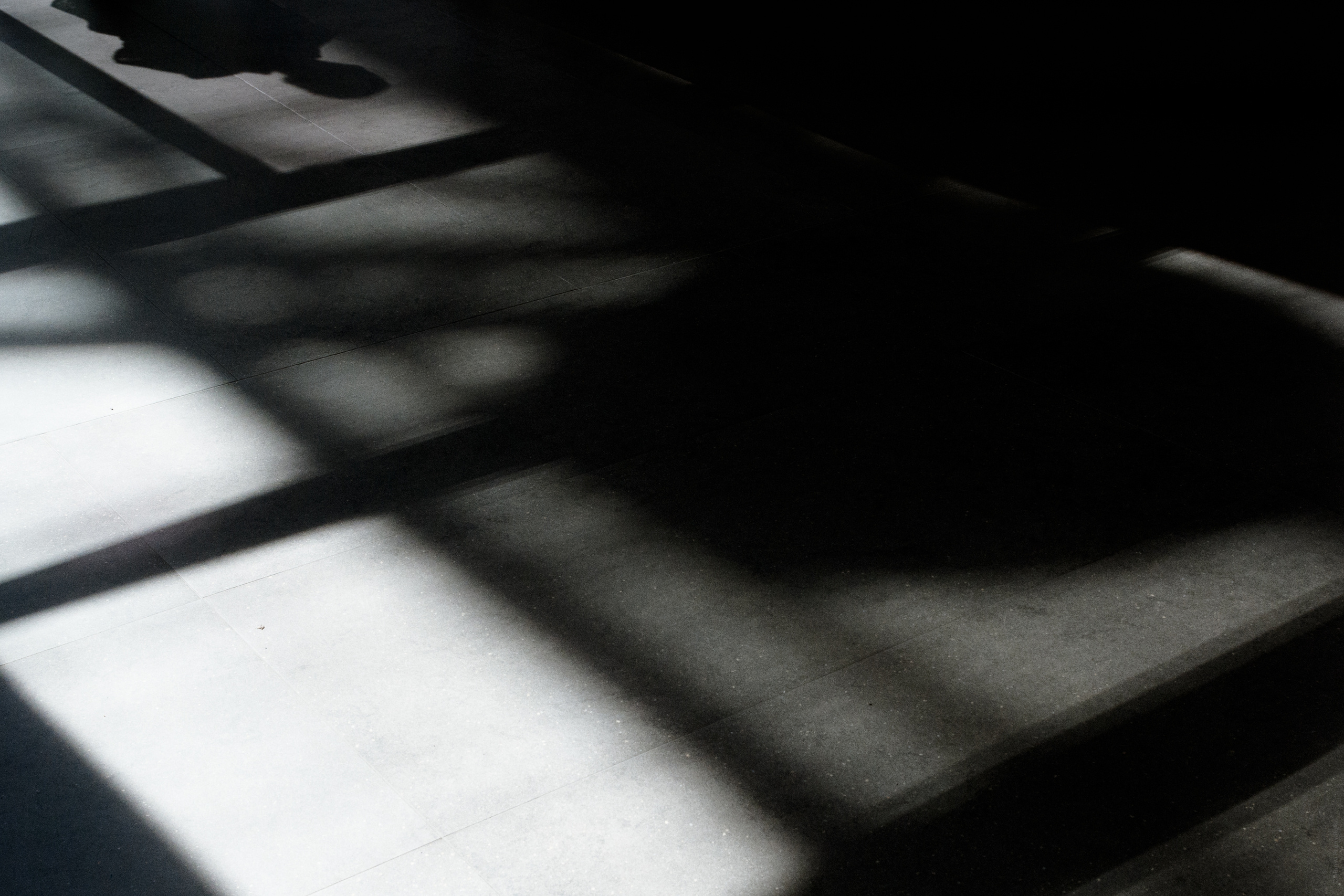 Волонтерство. Семейный и индивидуальный фотограф Life style в Санкт-Петербурге Мария