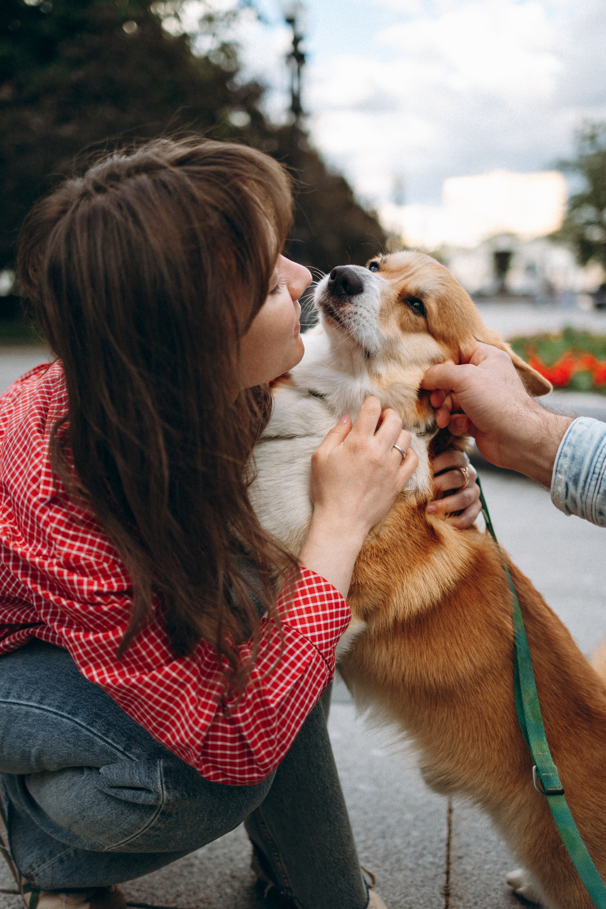 Момо, Люда и Эд. Фотограф анималист Анастасия Пикей