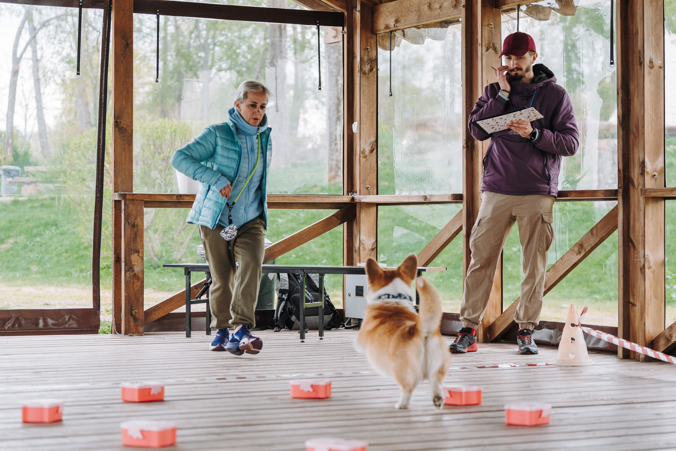 Соревнования по ноузворку в Лосево. Фотограф анималист в Спб недорого Олеся Майорова