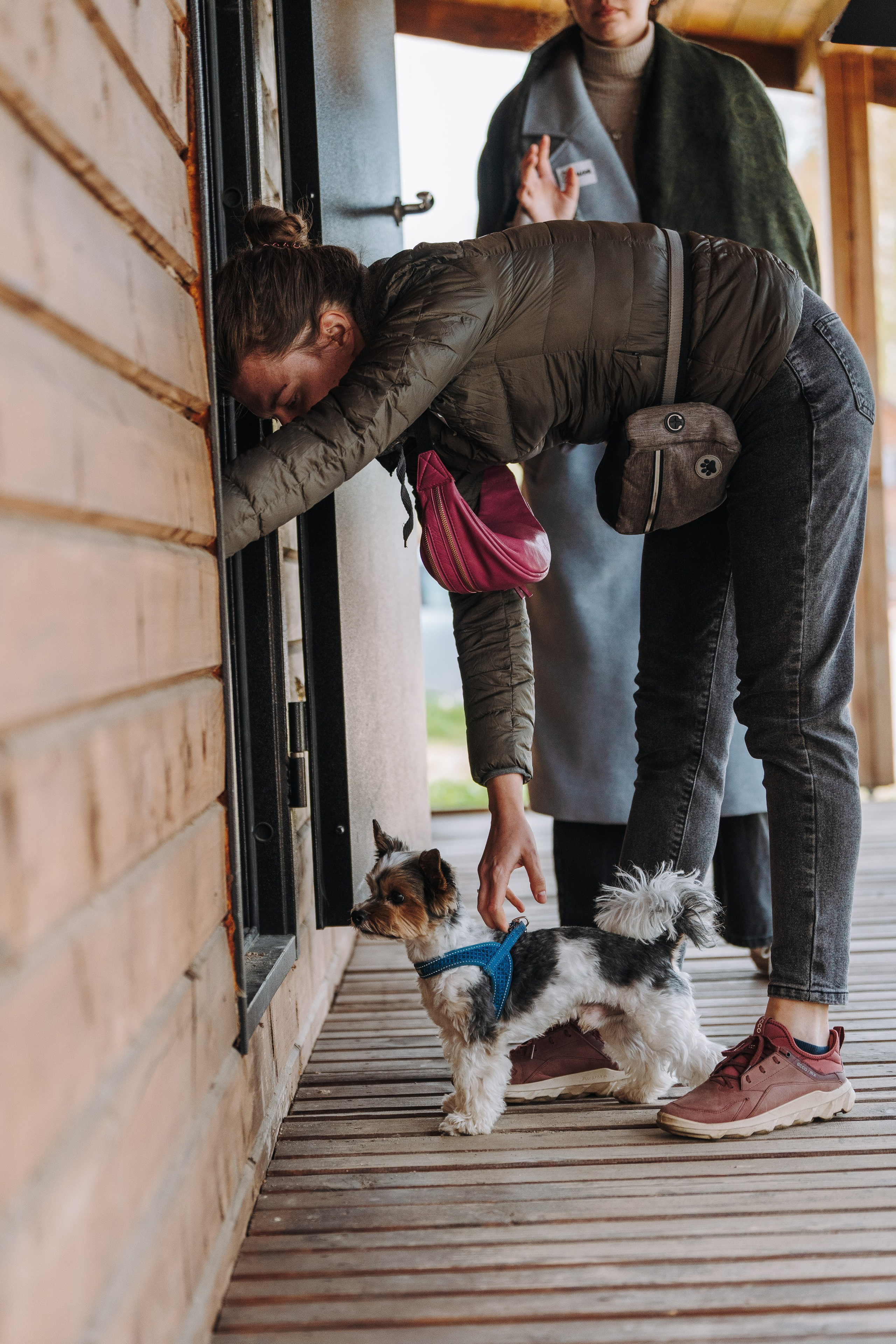 Соревнования по ноузворку в Лосево. Фотограф анималист в Спб недорого Олеся Майорова