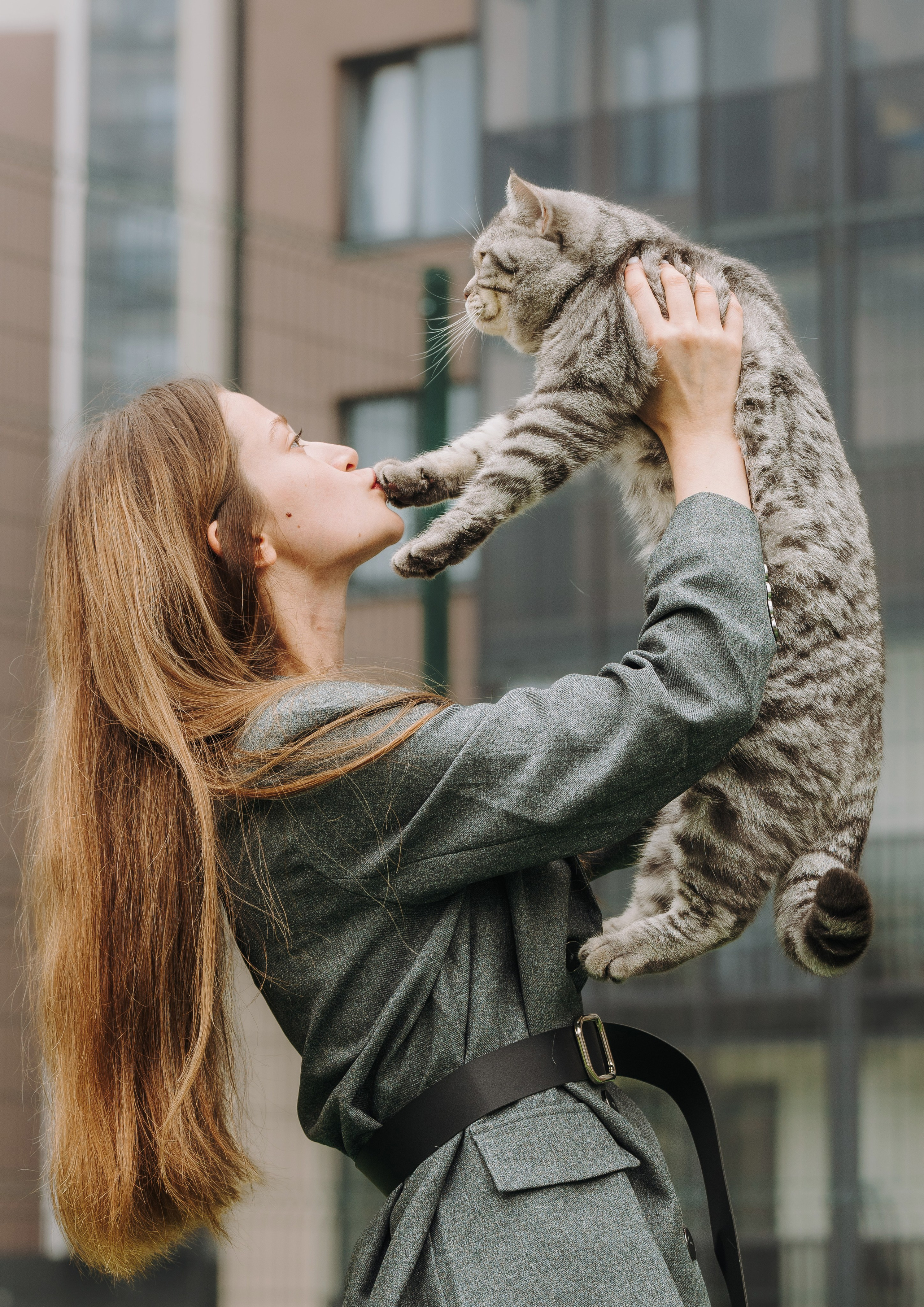 Портфолио кошки, фотограф Олеся Майрова. Фотограф анималист в Спб недорого Олеся Майорова