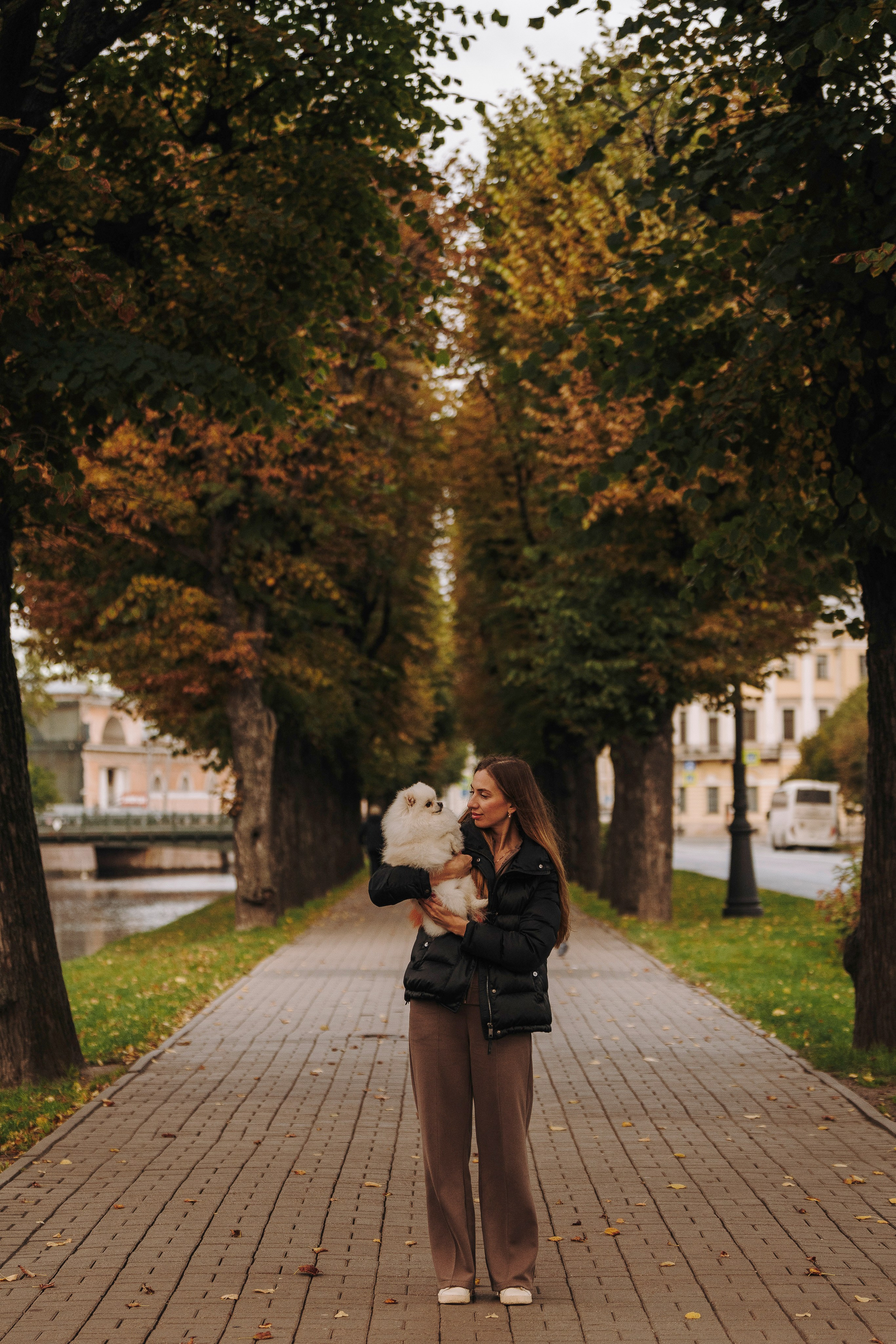 Фотосессия с померанским шпицем. Фотограф анималист в Спб недорого Олеся Майорова