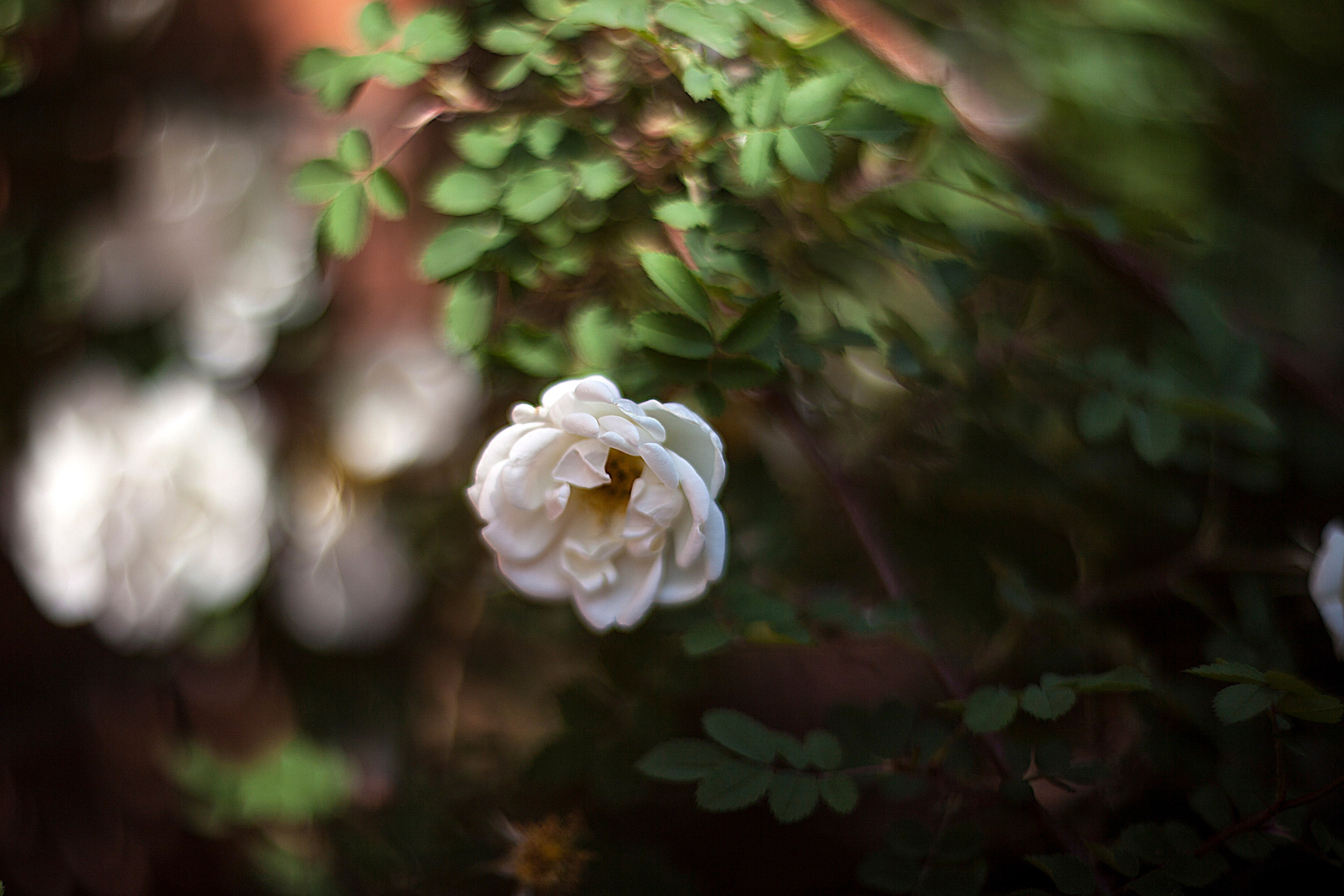 Разное из Разного времени. Ню Фотограф Александр Касымов Москва, фотосессии, Химки фотограф