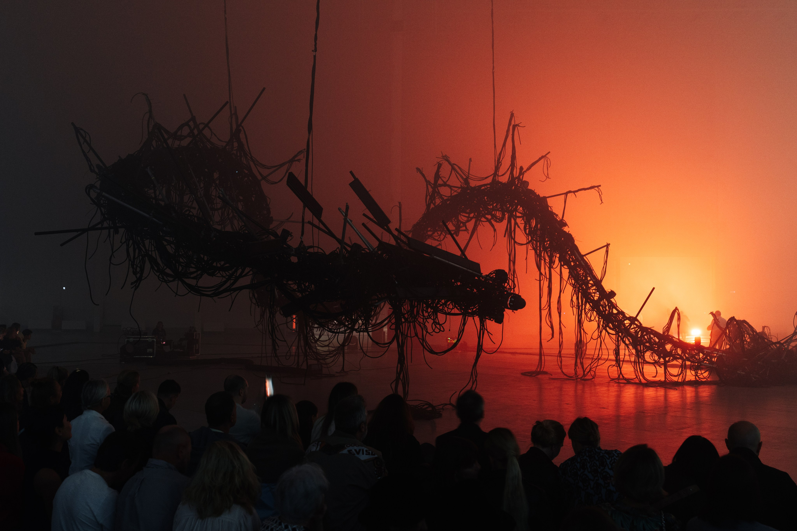 PERFORMA, The Hour of the Horse. @tomrus: Рустам Шагиморданов — фотограф