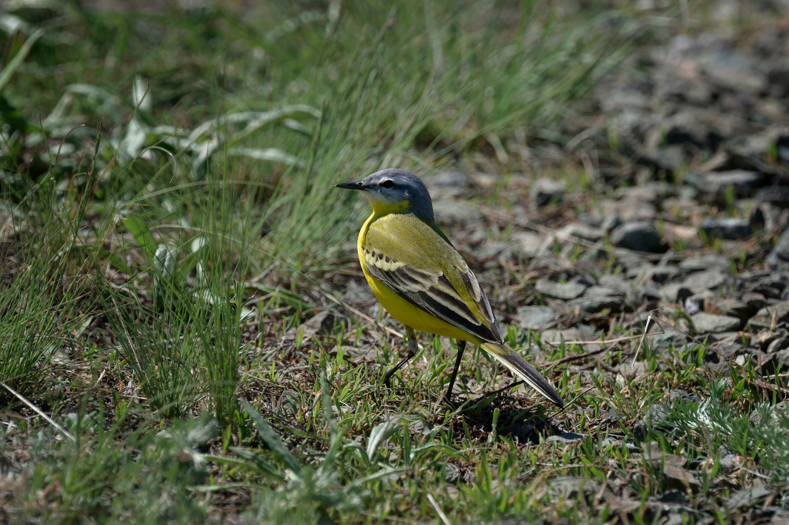 Оренбуржье. Портретный фотограф в Челябинске Катерина Руди