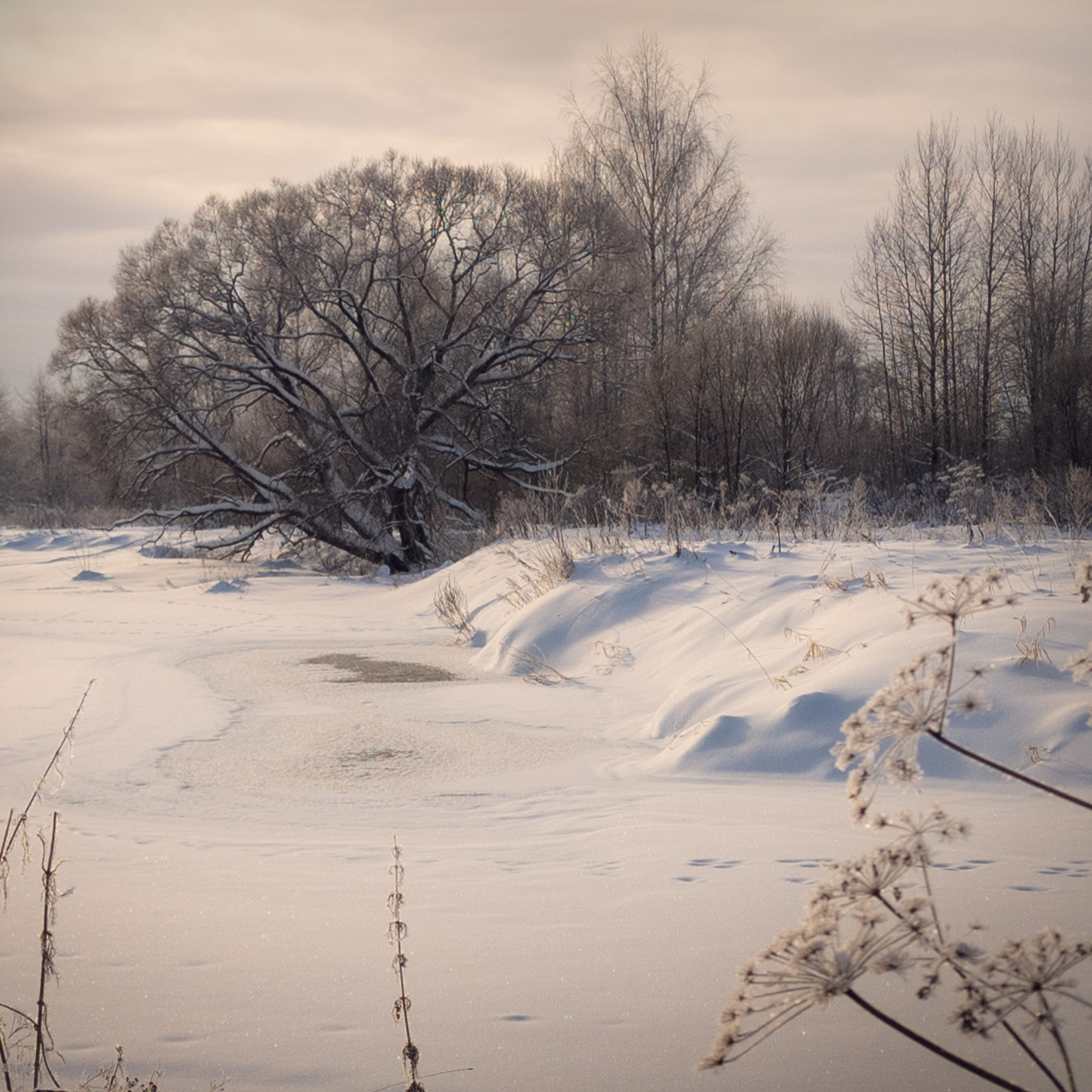 Съемка квадроциклов зимой в Подмосковье. Фотограф в походы