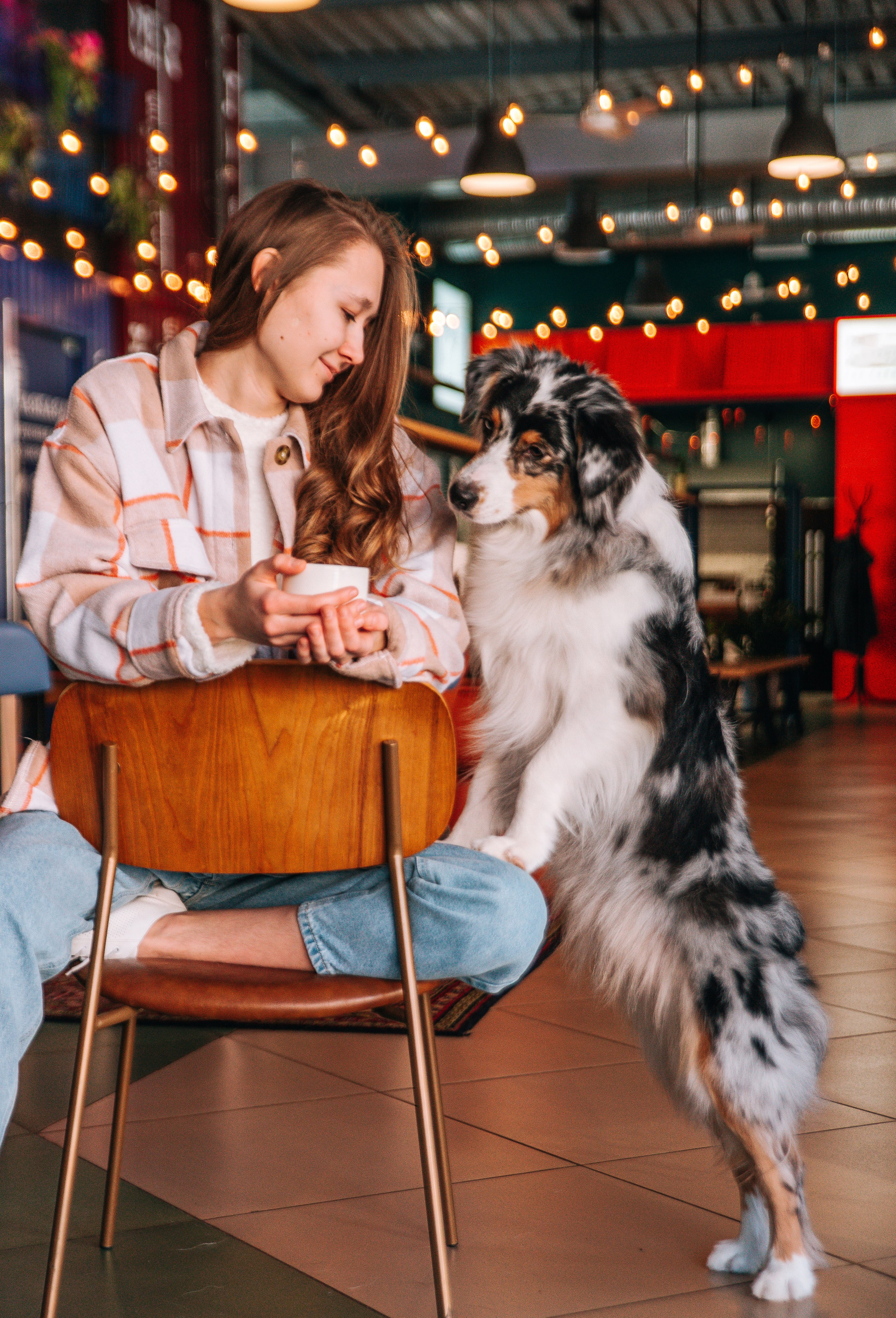 Лиза и Харли в кафе. Главная