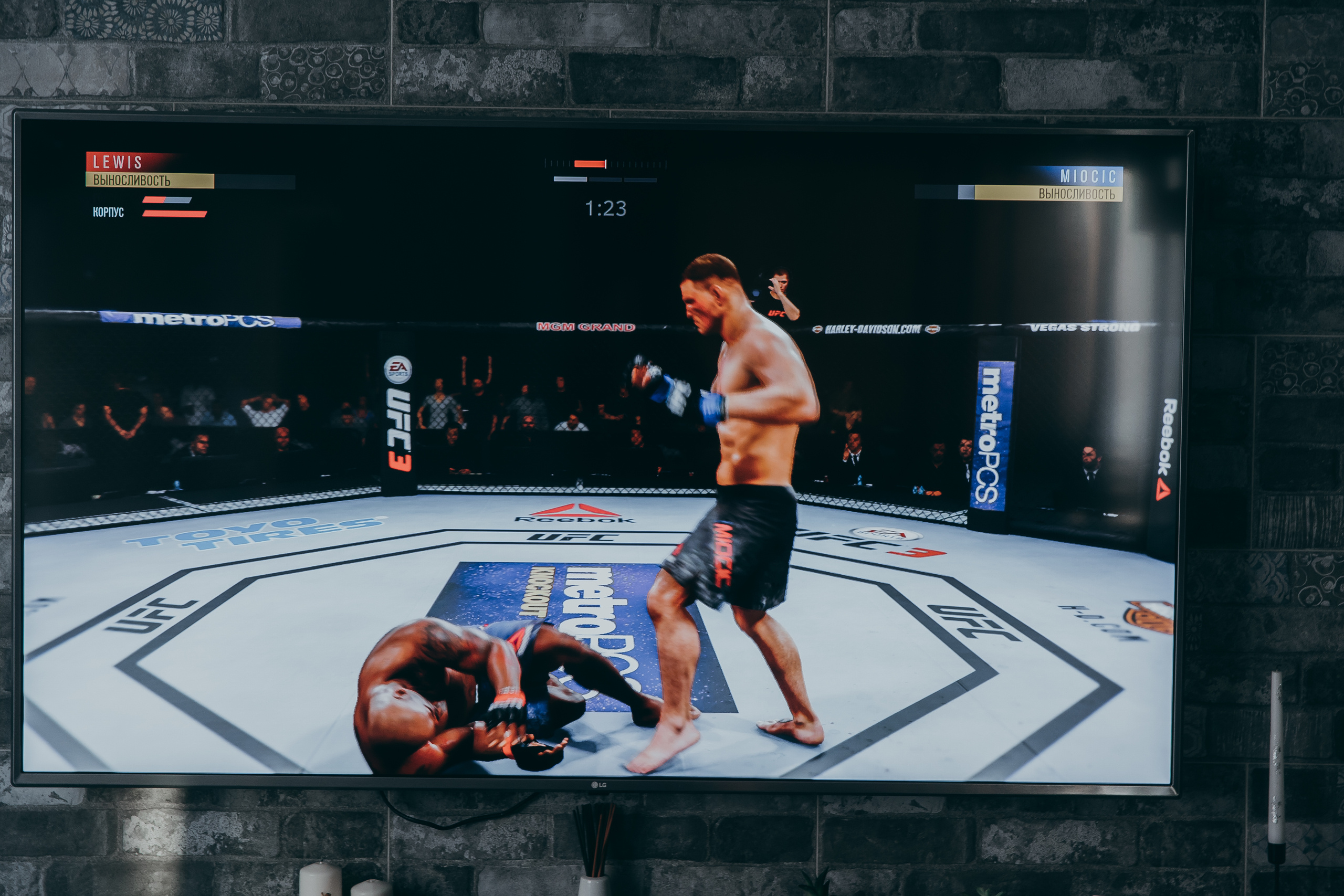 Анжелика & Артём. Дома. + 2 домашних любимца. Свадебный Фотограф Илья Чепайкин. Калининград