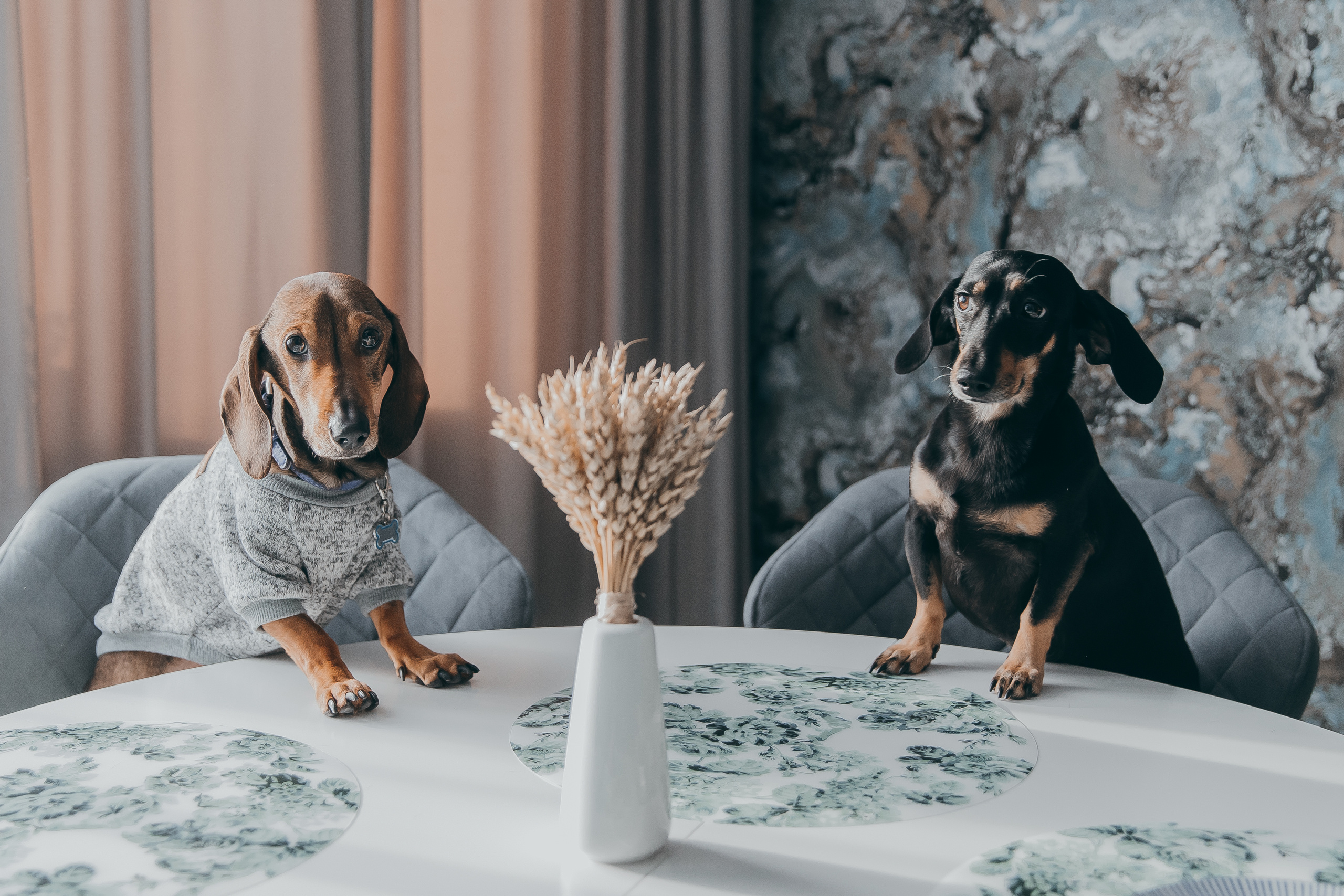 Анжелика & Артём. Дома. + 2 домашних любимца. Свадебный Фотограф Илья Чепайкин. Калининград