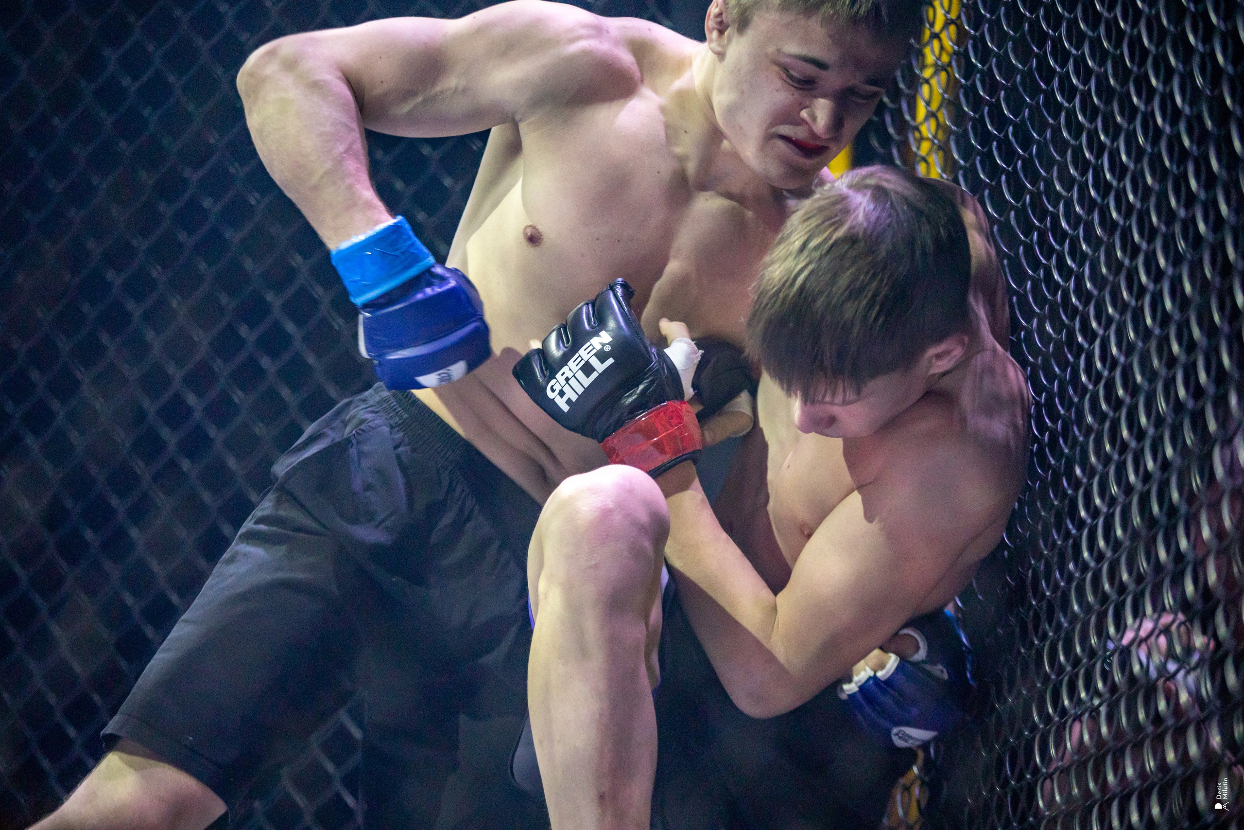 Бои в клетке «Северный Воин». Портретный фотограф Денис Милютин