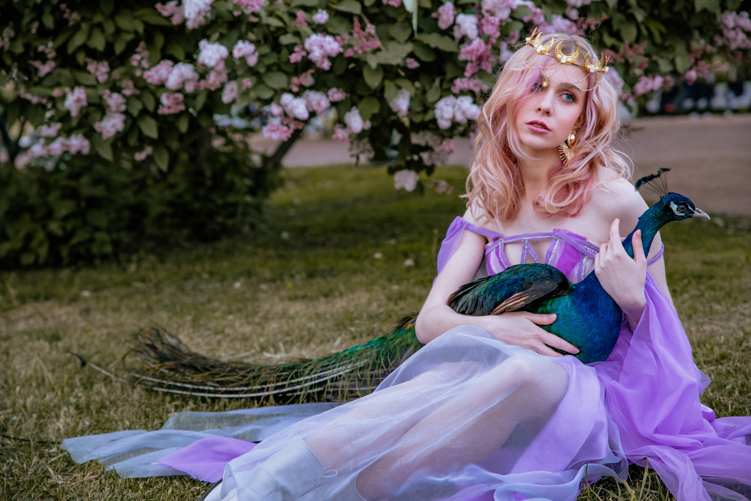 Павлин. Elena Sova — семейный и женский фотограф в Санкт-Петербурге