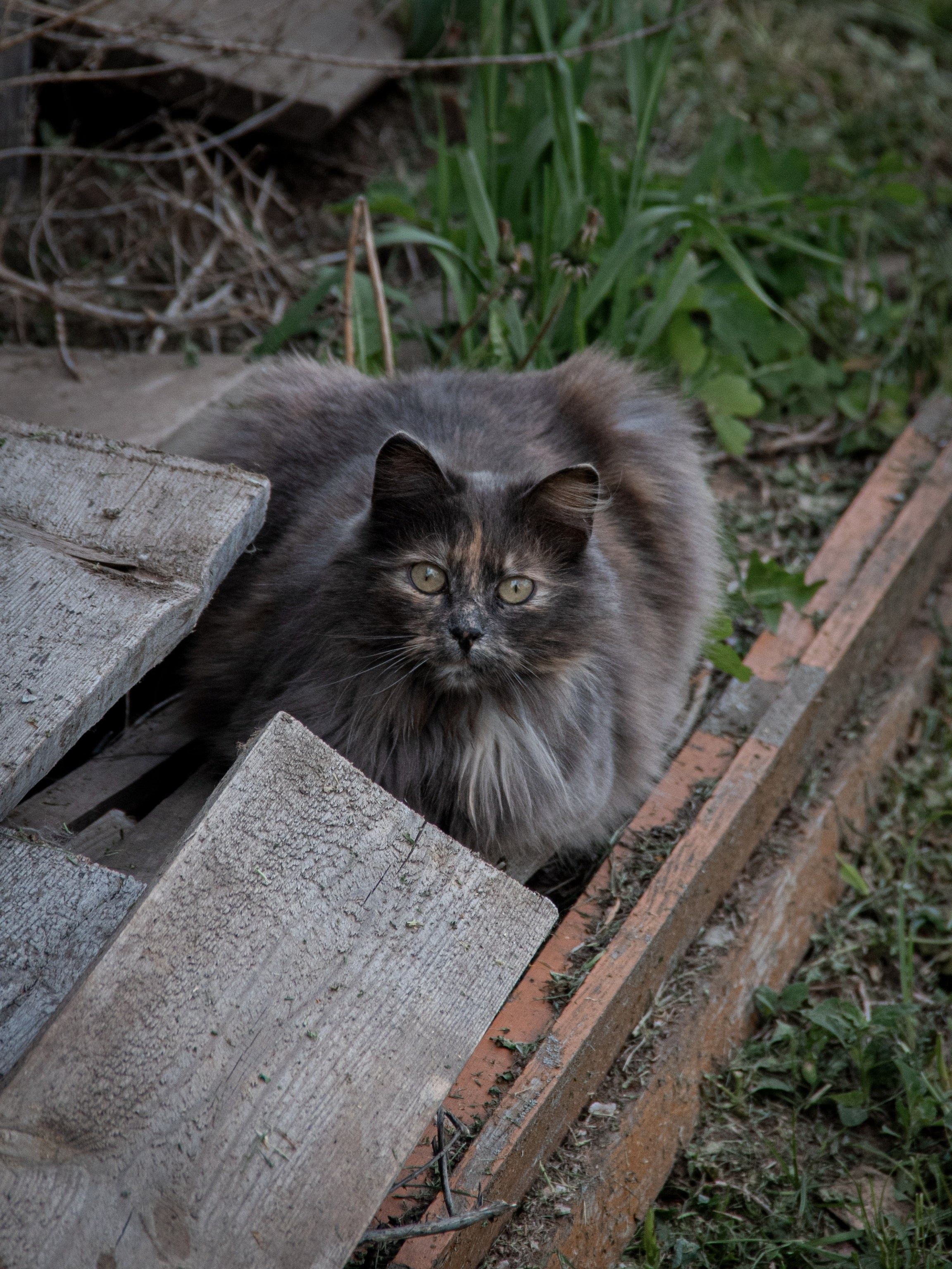 Уличные модели. С любовью, фотохудожник