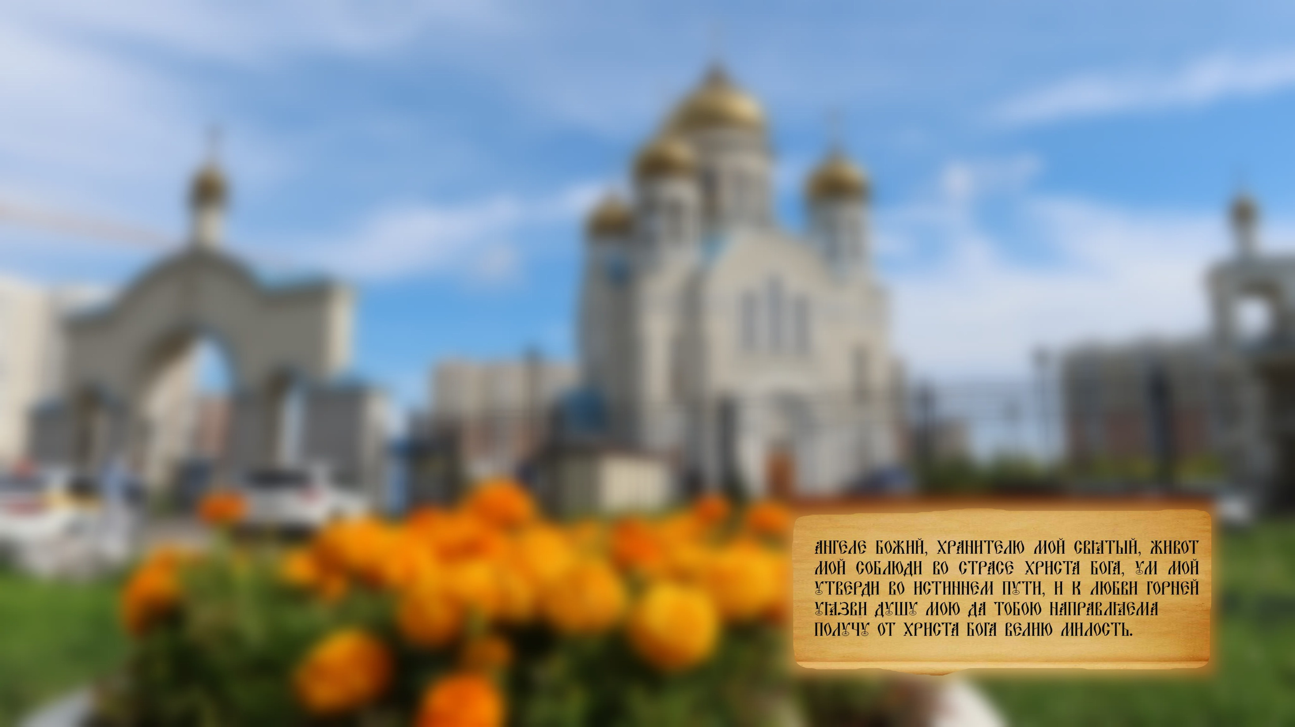 Осень 2023. Улица, люди, жизнь…