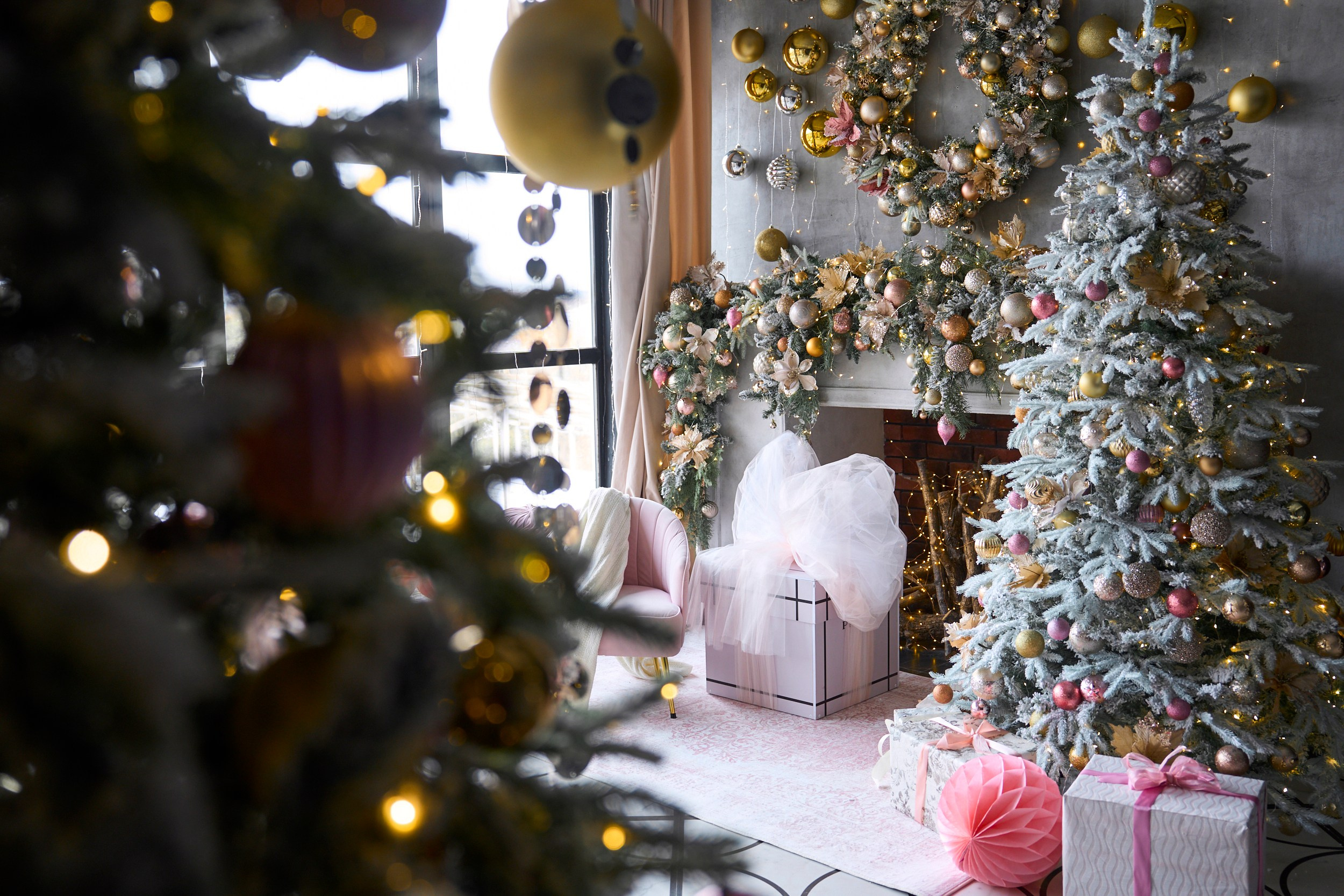 Рим (Rim). Фотограф г. Хабаровск. Семейные и индивидуальные съёмки