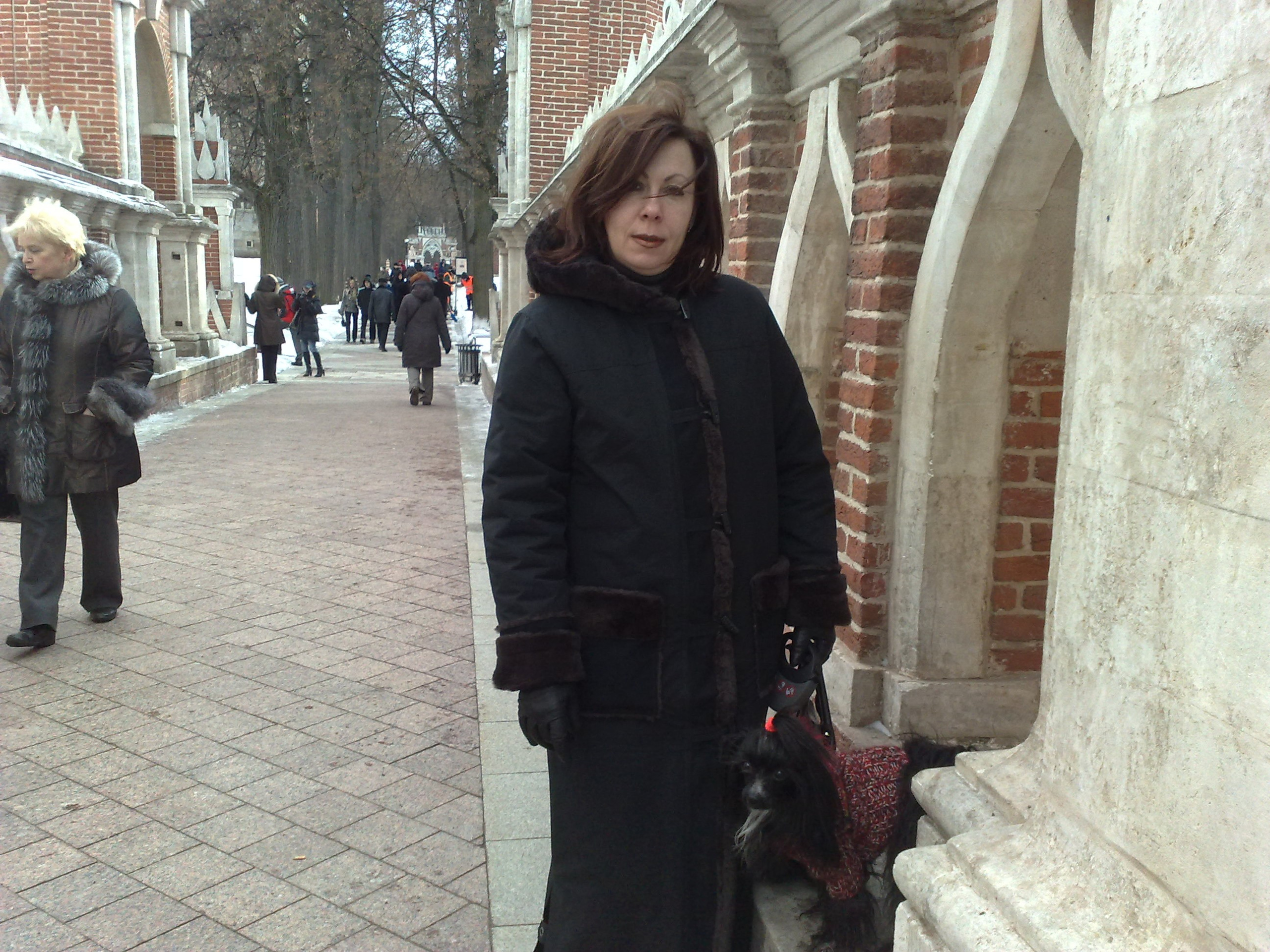 Царицино музей-усадьба. Питомник китайских хохлатых собак Poale Ell: купить щенка в питомнике